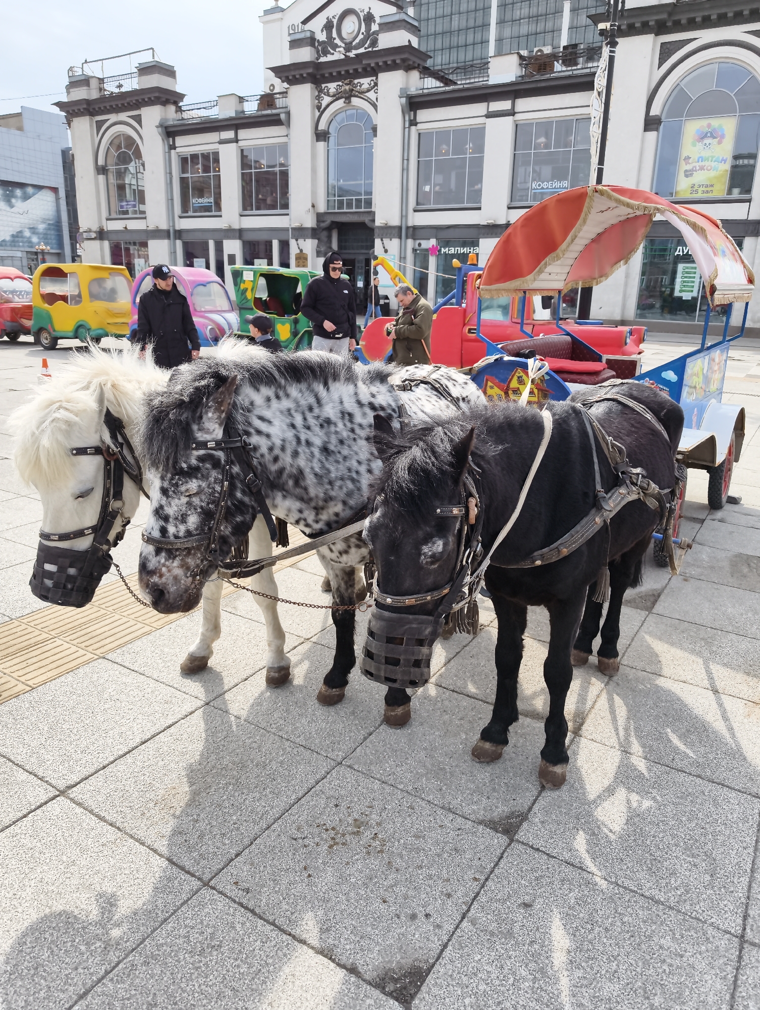 The image depicts three ponies harnessed to a small, colorful children's carriage in the city of Saratov, Russia. The ponies, from left to right, are white, black and white spotted, and black. All three are wearing black muzzles. They stand on a paved area in front of a multi-story building with distinctive architectural features including arched windows and a clock. In the background, there are several colorful, toy-like vehicles and several people, some of whom are interacting with the scene. The carriage behind the ponies has a red and white awning.