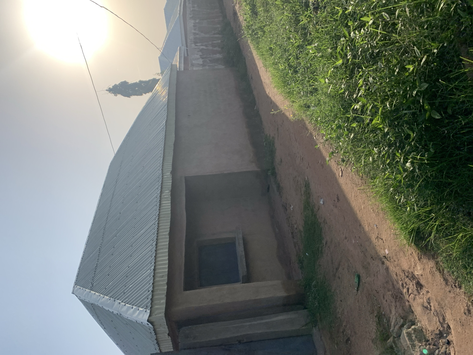 In the city of Jauro Yinu, Nigeria, a single-story, mud-walled building with a corrugated metal roof stands under a bright, hazy sky. The building has a small, dark window and a recessed entrance. A dirt path runs alongside the building, bordered by lush green grass. In the background, other similar structures and a tall tree are visible, with the sun casting a bright glare.