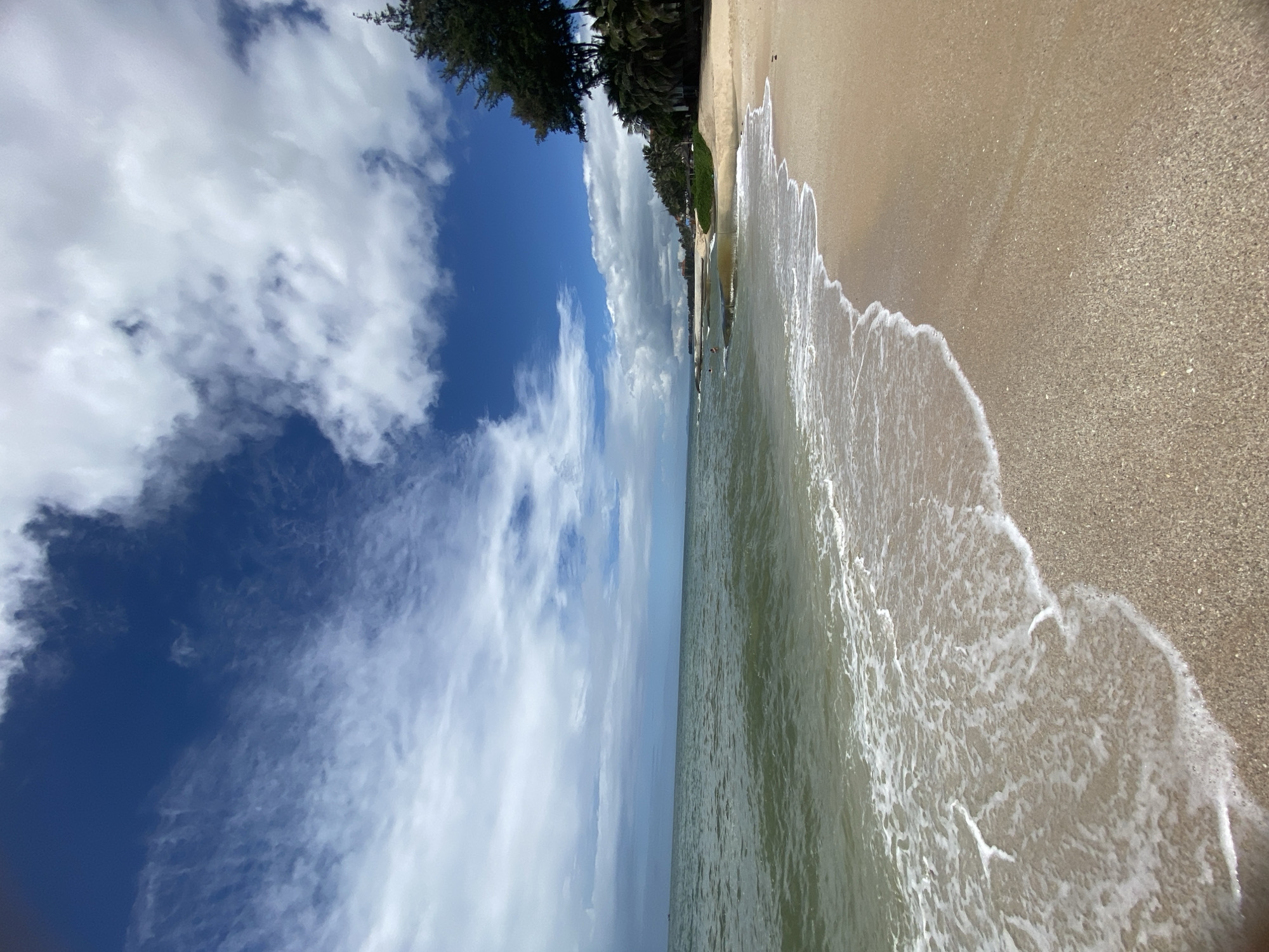 The image depicts a scenic view of a sandy beach in Mũi Né, Vietnam, under a partly cloudy sky. The foreground is dominated by the wet sand of the shoreline, where gentle waves with foamy crests are lapping at the beach. The ocean stretches out to the horizon, its water appearing a muted green under the diffused sunlight. In the background, a line of lush green palm trees and other foliage lines the edge of the sand, with a few buildings partially visible amongst the trees. The sky is a vibrant blue, punctuated by fluffy white clouds, some of which are wispy and spread out, while others are more dense and voluminous. A lone tall pine tree stands prominently on the right side of the frame, its dark green needles contrasting with the lighter tones of the beach and sea. A few people are visible in the water, appearing as small figures in the distance, suggesting a recreational setting. The overall scene conveys a tranquil and natural coastal environment.
