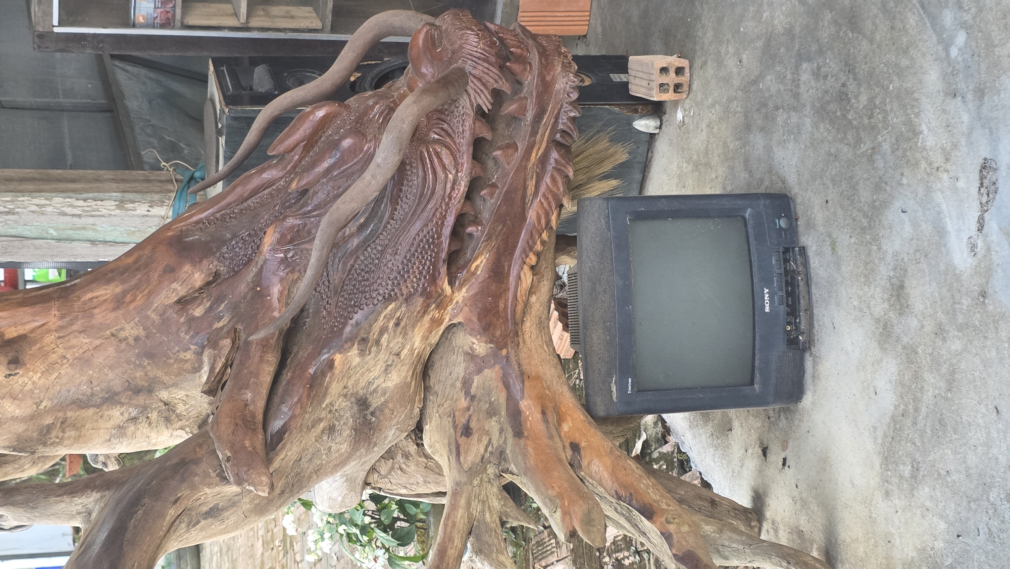 The scene is located in Ea Tê, Vietnam. A large, carved wooden dragon sculpture rests next to an old, black Sony CRT television set on a concrete surface. A single red brick sits near the dragon's head. The sculpture is detailed, with carved scales, horns, and teeth. The television appears dusty and worn, with a partially detached side panel. The surface underneath is littered with debris. Plants are visible at the bottom of the frame, indicating the scene is likely outdoors.