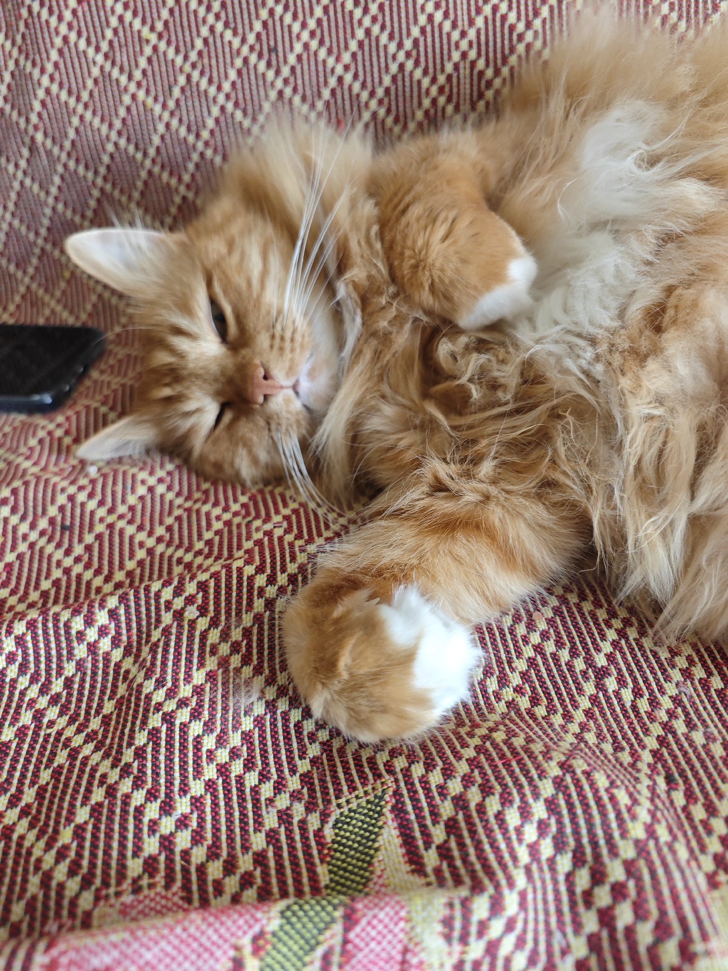 An orange tabby cat is lying on its side on a red and yellow patterned fabric. The cat is fluffy with white paws and is facing the camera. Its eyes are partially closed. The fabric appears to be a blanket or upholstery. The image is taken indoors. There are no people or any other animals visible. The image is well-lit and in focus. The scene is located in the city of Pushkin, Russia.