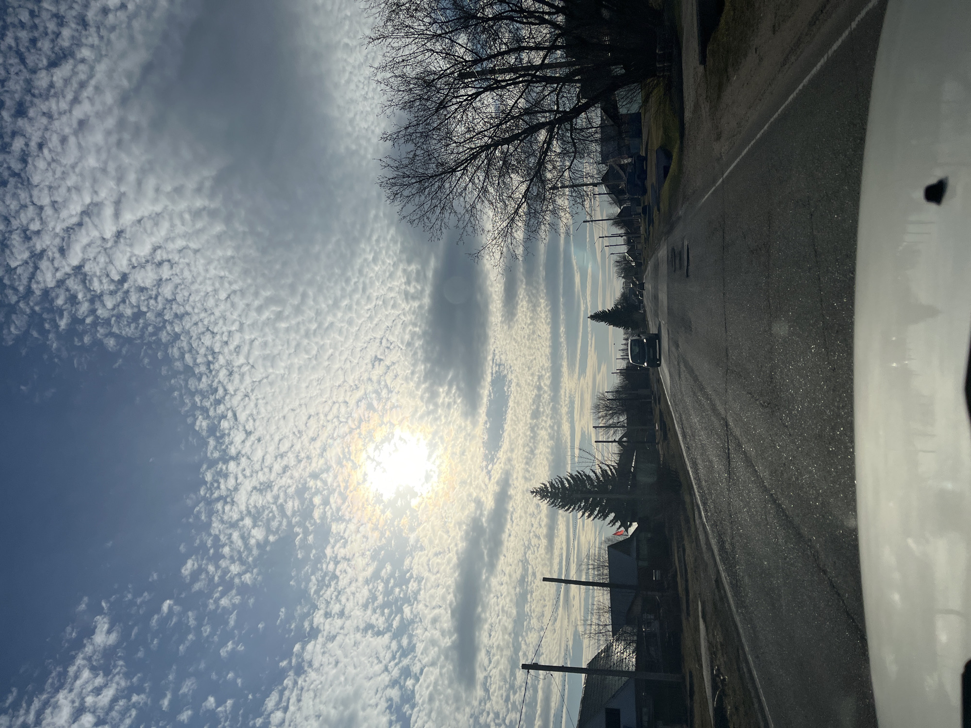 This image captures a bright, partly cloudy day in Zelenogorsk, Russia, from the perspective of a vehicle. If rotated 90 degrees clockwise for correct orientation, the scene depicts a roadside view.
The upper portion of the frame is dominated by a blue sky, filled with diverse cloud formations. Numerous small, patchy cumulus or altocumulus clouds are visible across the sky, particularly dense on the left. Toward the middle and right, these clouds transition into more elongated, streaky patterns, possibly cirrocumulus undulatus or contrails. The sun shines brightly in the upper right quadrant, partially obscured by clouds, casting a strong glare.
A paved road stretches into the distance along the lower right of the image, marked by a clear white line. A dark-colored sedan or SUV is visible driving ahead, further down the road. The viewer's white vehicle, likely the dashboard or hood, occupies the lower right foreground.
Along the left side of the road, a series of bare deciduous trees with intricate, dark branches are silhouetted against the bright sky. A dark evergreen tree is also visible lower down on the left. Several utility poles with wires run parallel to the road. In the mid-ground and background, glimpses of residential structures or houses with dark roofs can be seen through the sparse trees, suggesting a suburban or rural setting.
The time of day appears to be mid-day, indicated by the high and bright sun. The weather is fair, characterized by the interesting cloud patterns. No discernible text is visible in the image.