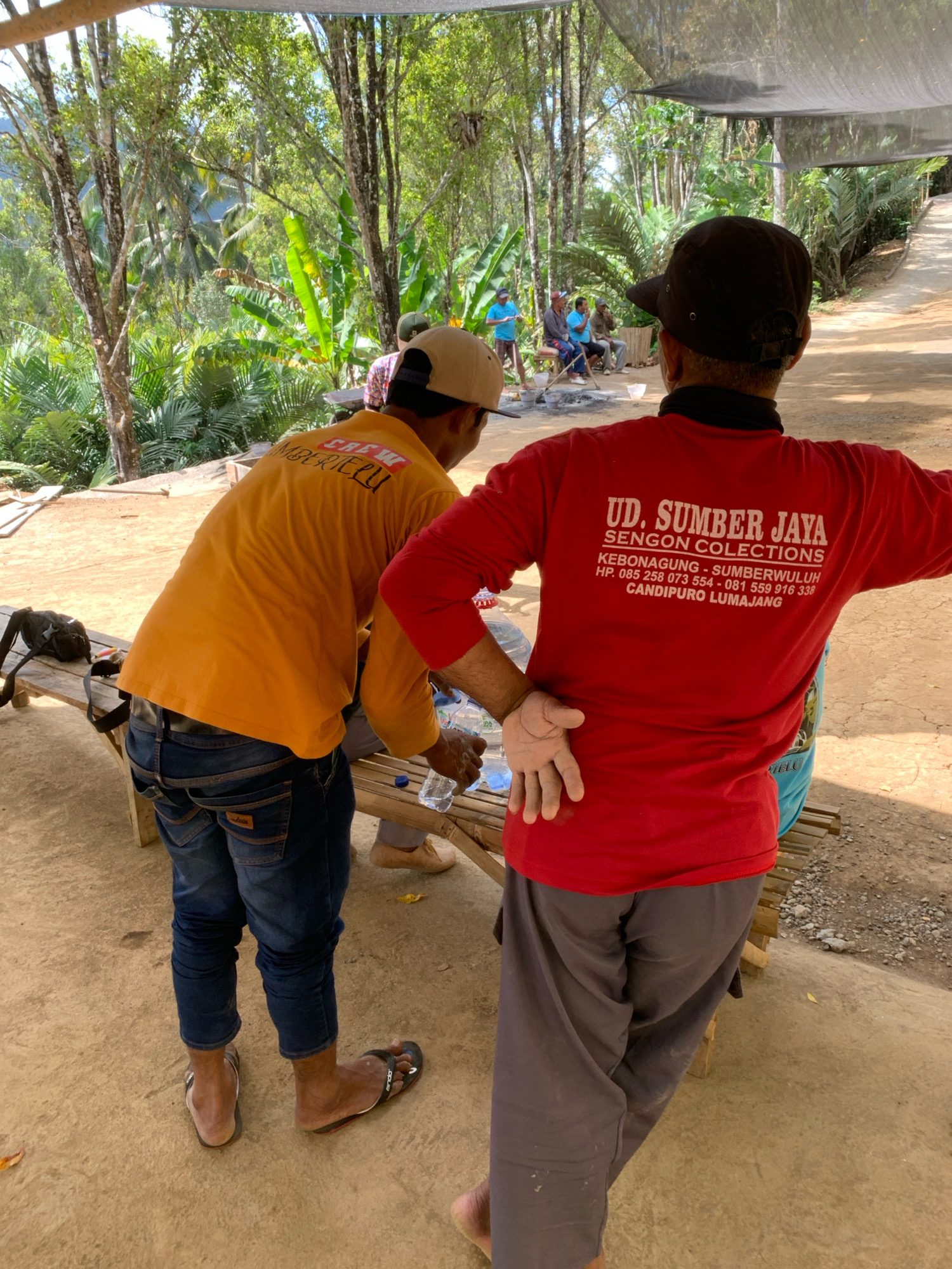 This image captures an outdoor scene at the UD. SUMBER JAYA SENGON COLLECTIONS in Pronojiwo, Indonesia. Two men are the central figures. The man on the left, facing away from the camera, wears an orange t-shirt with "CREW MBERILU" visible on the back and blue jeans. He is reaching for a bottle of water. The man on the right, also facing away, wears a red long-sleeved shirt with "UD. SUMBER JAYA SENGON COLLECTIONS" printed on the back, along with an address and phone numbers. He is wearing grey pants and has his left hand resting on his hip.
In the background, several other individuals are seated on a wooden bench under a canopy. They appear to be engaged in conversation. The environment is lush and tropical, with tall trees and dense foliage visible. The ground is a mixture of dirt and gravel. A dirt path leads away into the background. The lighting suggests it is daytime.