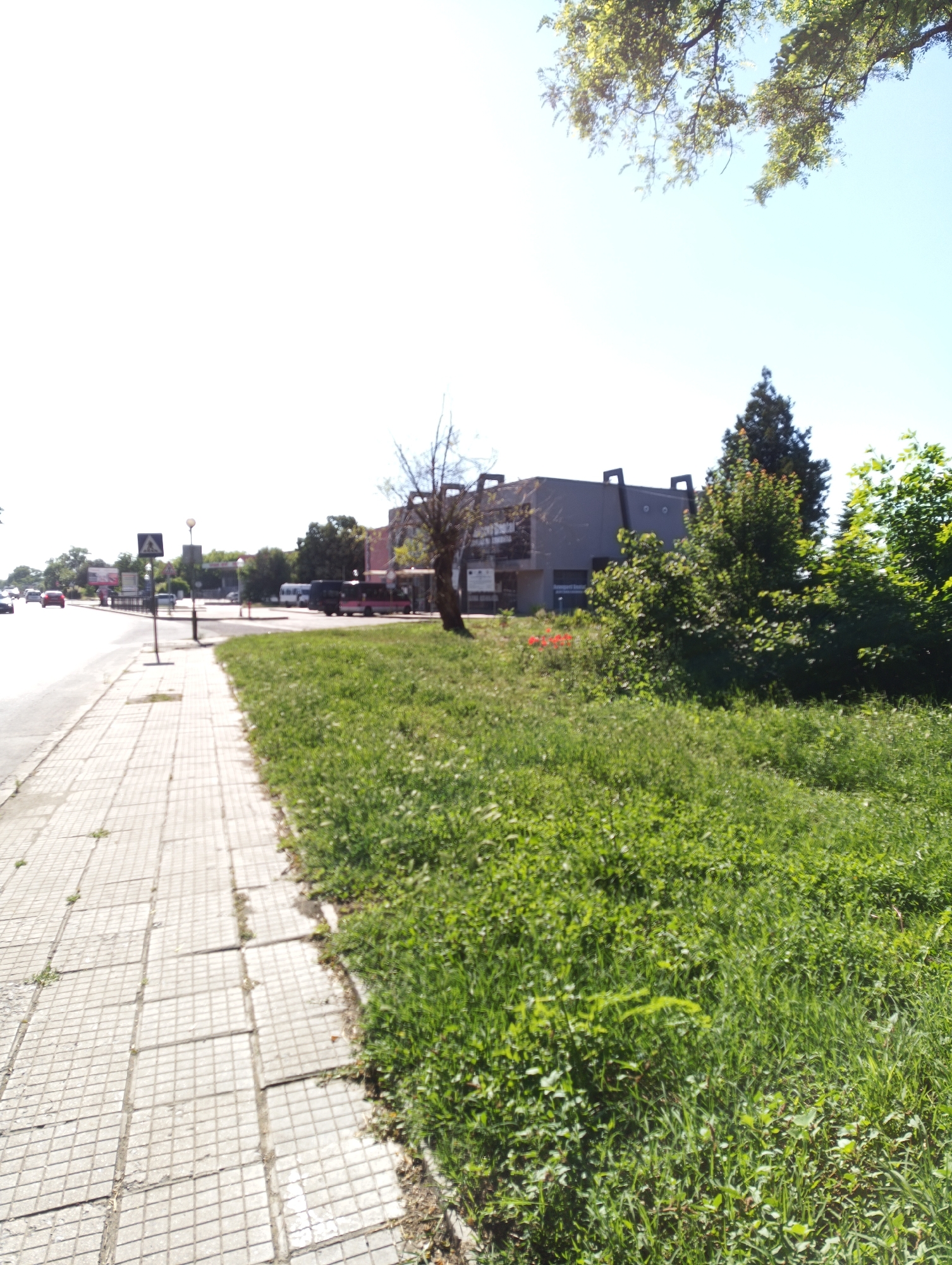 The image depicts a street scene in Karnobat, Bulgaria, on a bright, sunny day. In the foreground, a paved sidewalk with a grid pattern runs along the left side of the frame. To the right of the sidewalk is a grassy verge with lush green vegetation. Beyond the verge, a road is visible with several vehicles, including a red car, a white van, and a pink van. On the opposite side of the road, a modern building with a grey facade and dark angular roof elements stands. Trees and foliage surround the building and line the street in the background. A pedestrian crossing sign with a warning symbol is positioned near the sidewalk. The sky is clear and bright blue. The scene appears to be a typical urban environment with commercial or public buildings.