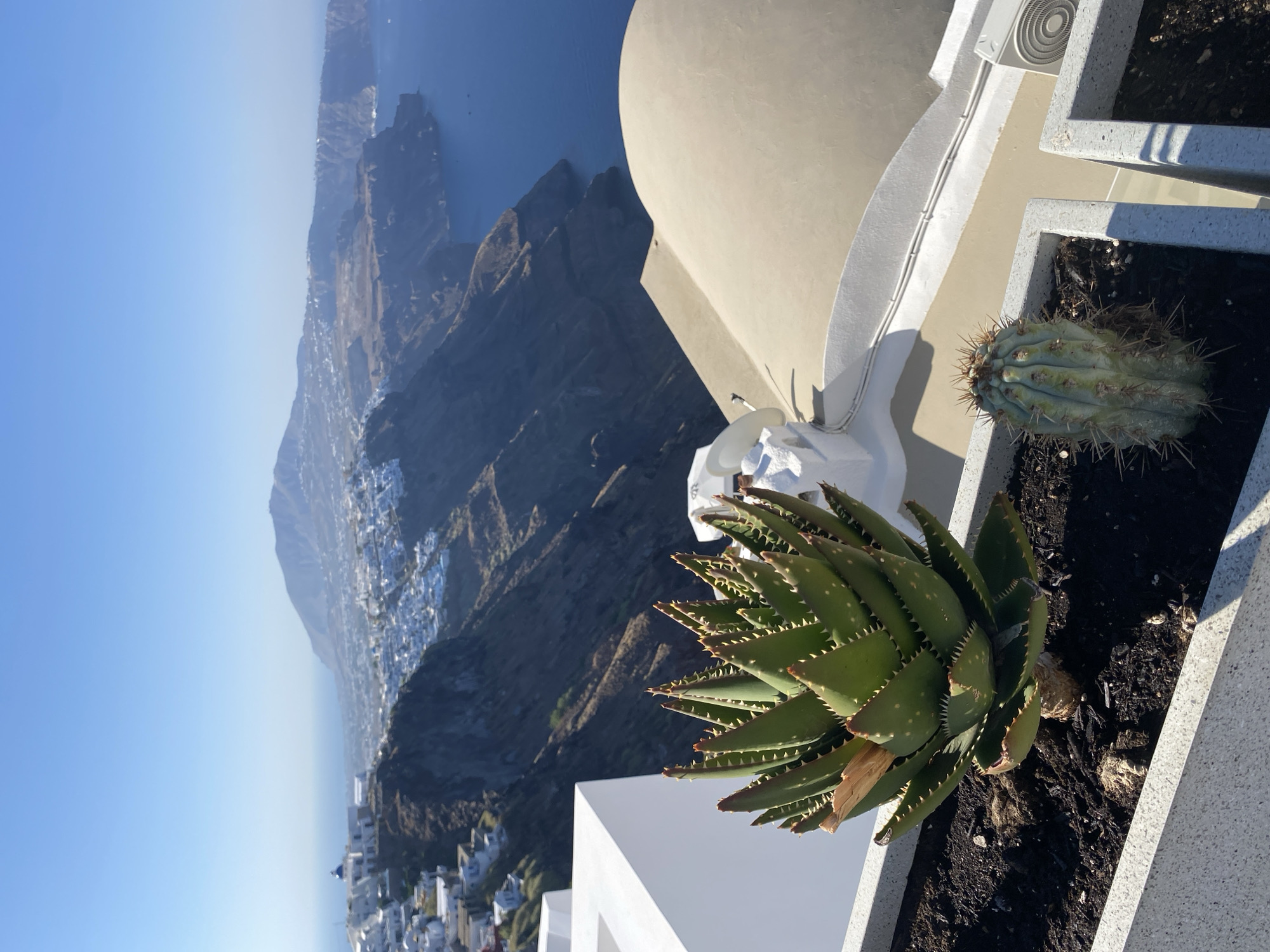 An overhead shot captures a view of the Aegean Sea and the caldera in Thira, Greece. In the foreground, a large aloe vera plant and a small cactus are planted in planters. A white building with a beige dome is visible to the right of the plants. The cliffside is dotted with whitewashed buildings, a common sight in Santorini. The sea is a deep blue, meeting a hazy horizon.