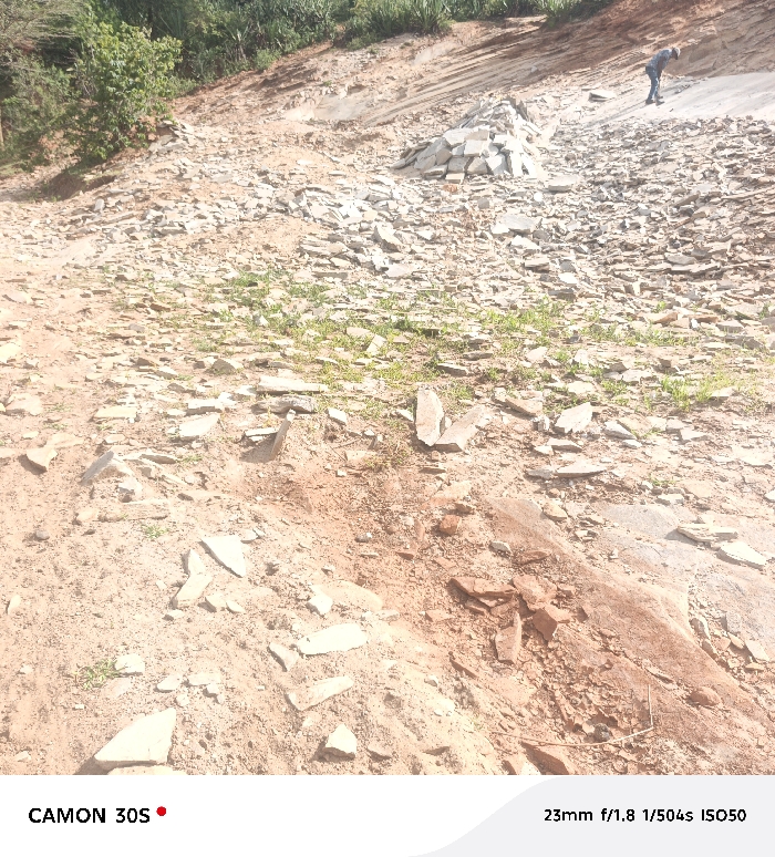 The image displays an outdoor scene in Kasunguni, Kenya, depicting an active stone quarry or excavation site under daylight. The ground, primarily composed of reddish-brown soil, is extensively covered with numerous light-colored, flat, irregularly shaped rock fragments. Sparse patches of green vegetation grow between the stones. In the mid-ground, a prominent, neatly stacked pile of rectangular stones is situated. Further up the sloped terrain in the upper right, a single individual, appearing male and dressed in blue, is observed leaning forward, engaged in manual labor, likely relating to the extraction or collection of materials. The background consists of a steep earthen slope leading to a densely vegetated area with green trees and foliage.