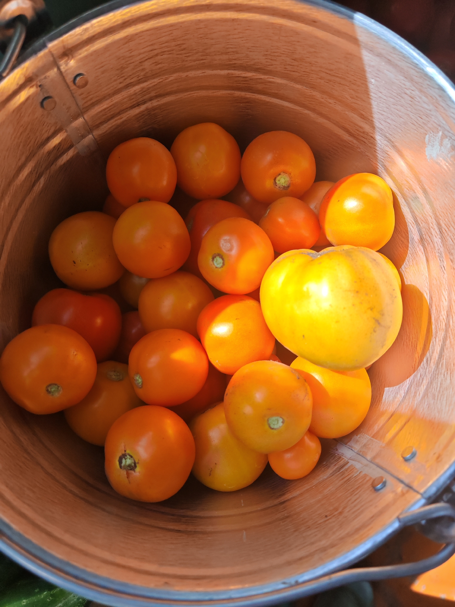 A high-angle close-up shot shows a wooden bucket filled with ripe, orange and yellow tomatoes. The bucket appears to be made of staves with metal banding and rivets. The tomatoes are of various sizes, with some clustered together and others spread out. The lighting suggests an outdoor environment, possibly a market or garden. There are no people or animals visible in the image. The scene is located in Chernakovo, Russia.