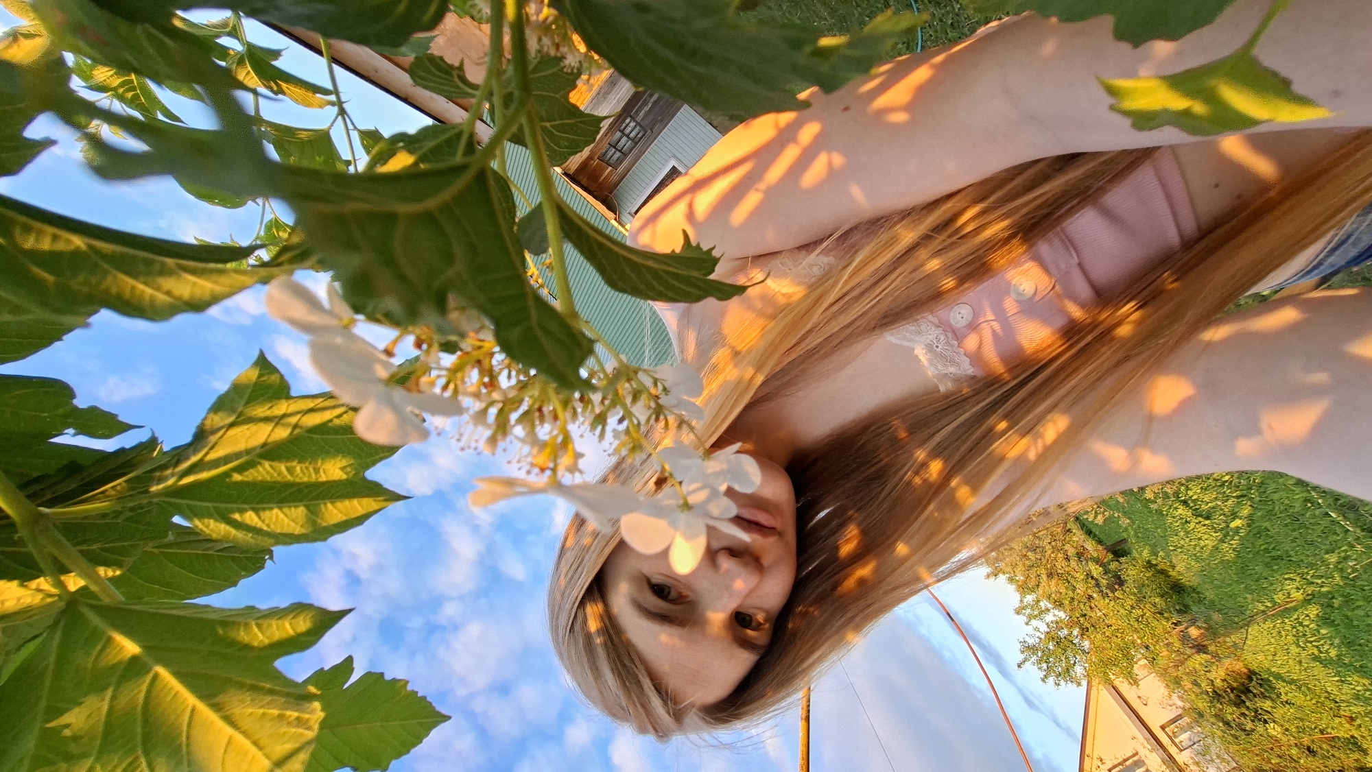 An image, originally rotated, captures a young woman framed by lush green foliage and delicate white flowers, set against a bright blue sky with scattered clouds. The woman, with long, straight, light-colored hair, is positioned in the lower-right quadrant, looking directly at the camera with a neutral expression. Warm, golden sunlight, indicative of late afternoon or early evening, illuminates her face, hair, and bare arms, casting dappled shadows from the leaves. She is wearing a light-colored top, possibly pink, with button details and white lace trim.
In the immediate foreground on the left, large green leaves with visible veins dominate, while clusters of small white flowers are prominent near her face. In the background, beyond the dense greenery, a house with a green roof is partially visible, and another building with a white facade and dark roof stands further back amidst green trees and grass. The scene suggests a serene, outdoor setting, likely a garden or yard in Большой Букор, Russia. There is no visible text in the image.