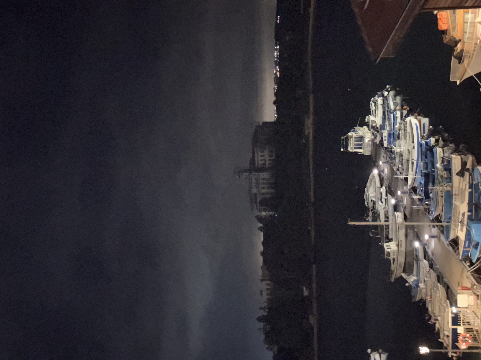 This night-time image depicts a quiet marina in Sozopol, Bulgaria. On the right side, a collection of small to medium-sized boats are moored along a dock. Most of these vessels are white and blue, with some covered, and their internal or deck lights cast reflections upon the dark water. The structures of a pier or larger boat are visible in the upper right foreground, including a reddish-brown roof and railings.
Stretching vertically across the middle of the frame is a dark landmass, likely the coastline of Sozopol. Along this distant shore, a series of bright, scattered lights illuminate the town, outlining its presence against the night sky. Silhouetted buildings with a few illuminated windows can be observed on the landmass. The horizon line shows a faint glow from further distant lights.
The left side of the image is a vast expanse of dark sky, possibly with subtle cloud formations. The overall lighting is dim, emphasizing the artificial lights from the boats and the distant town, which punctuate the darkness. No distinct human activity is visible, contributing to the serene and tranquil atmosphere of the scene. Faint numbers "613" are partially legible on the stern of one boat.