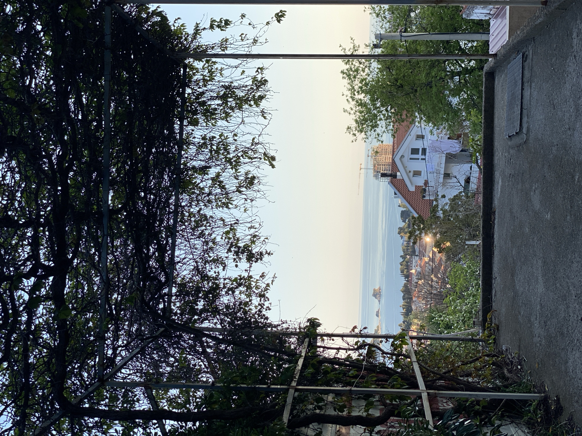 The image shows a view from an elevated position in Budva, Montenegro, looking out over a cityscape and the Adriatic Sea. The perspective is framed by overgrown vegetation on a metal trellis to the left and a concrete wall with a hatch cover to the right. In the distance, a building with a red-tiled roof and white walls stands on a hillside. Laundry is hung on the balcony. Construction cranes are visible in the cityscape below. The sea reflects the sun. The overall lighting suggests either dawn or dusk.