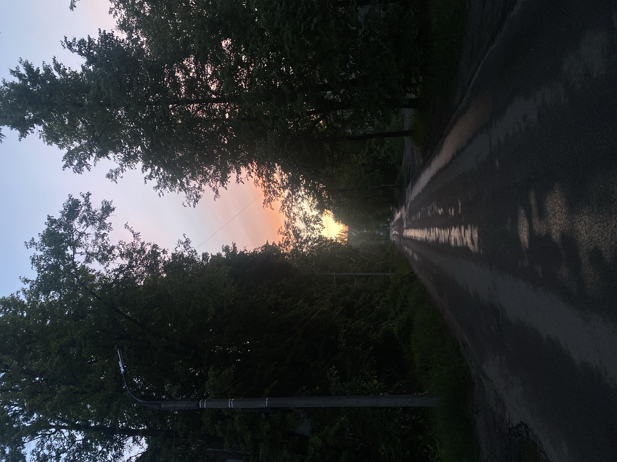 The image, captured in Шебунино, Russia, depicts a serene twilight scene along a tree-lined road. The perspective is looking down a wet, dark asphalt road that stretches into the distance, appearing to narrow as it recedes. On both sides, dense, dark green trees form a natural tunnel, with their foliage largely silhouetted against the sky.
The sky above and between the trees displays a gradient of colors, transitioning from a soft, pale blue or lavender hue to a warm, vibrant orange and yellow near the horizon. A bright, intense light source, likely the setting or rising sun, is visible as a radiant glow at the far end of the road, partially obscured by the trees. This strong light creates a prominent, elongated reflection on the wet surface of the road, indicating recent rain or damp conditions.
In the left foreground, a dark utility pole or streetlight is visible, with an arm extending over the roadside foliage. Visible wires or cables run from the pole and through the trees, suggesting a rural or suburban setting. The overall atmosphere is quiet and tranquil, emphasizing the interplay of natural light and reflections on the damp road surface. There are no people or discernible text in the image.
