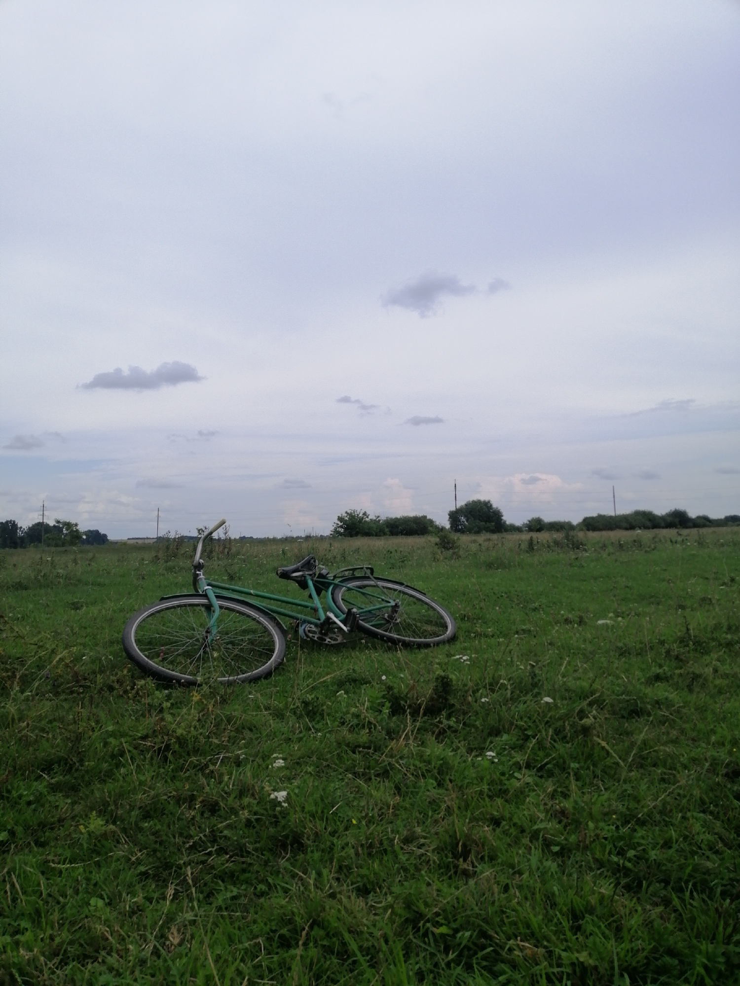 A green bicycle lies on its side in a grassy field under a cloudy sky. The bicycle appears to be an older model with visible spokes and a chain. The field is overgrown with green grass and some scattered white wildflowers. In the background, there are trees and utility poles, suggesting a rural or semi-rural setting. The overall scene is quiet and still, with no people or animals present. The location is identified as Krasnoluka, Ukraine.