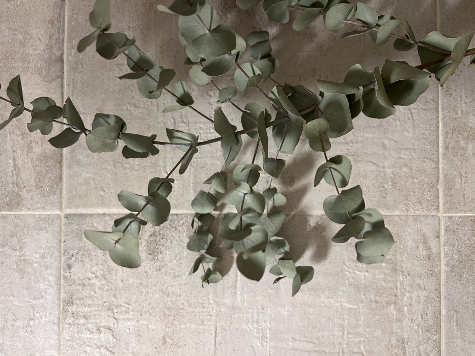 The image displays multiple stems of dried eucalyptus, characterized by their muted green, rounded leaves, positioned diagonally across a light beige tiled wall. The ceramic tiles are rectangular, exhibiting a textured, somewhat mottled surface, with visible horizontal and vertical grout lines. Shadows of the eucalyptus foliage are cast upon the wall, suggesting directional overhead lighting. No individuals, overt actions, or interactions are visible within the frame. The scene is an interior environment in Budva, Montenegro.