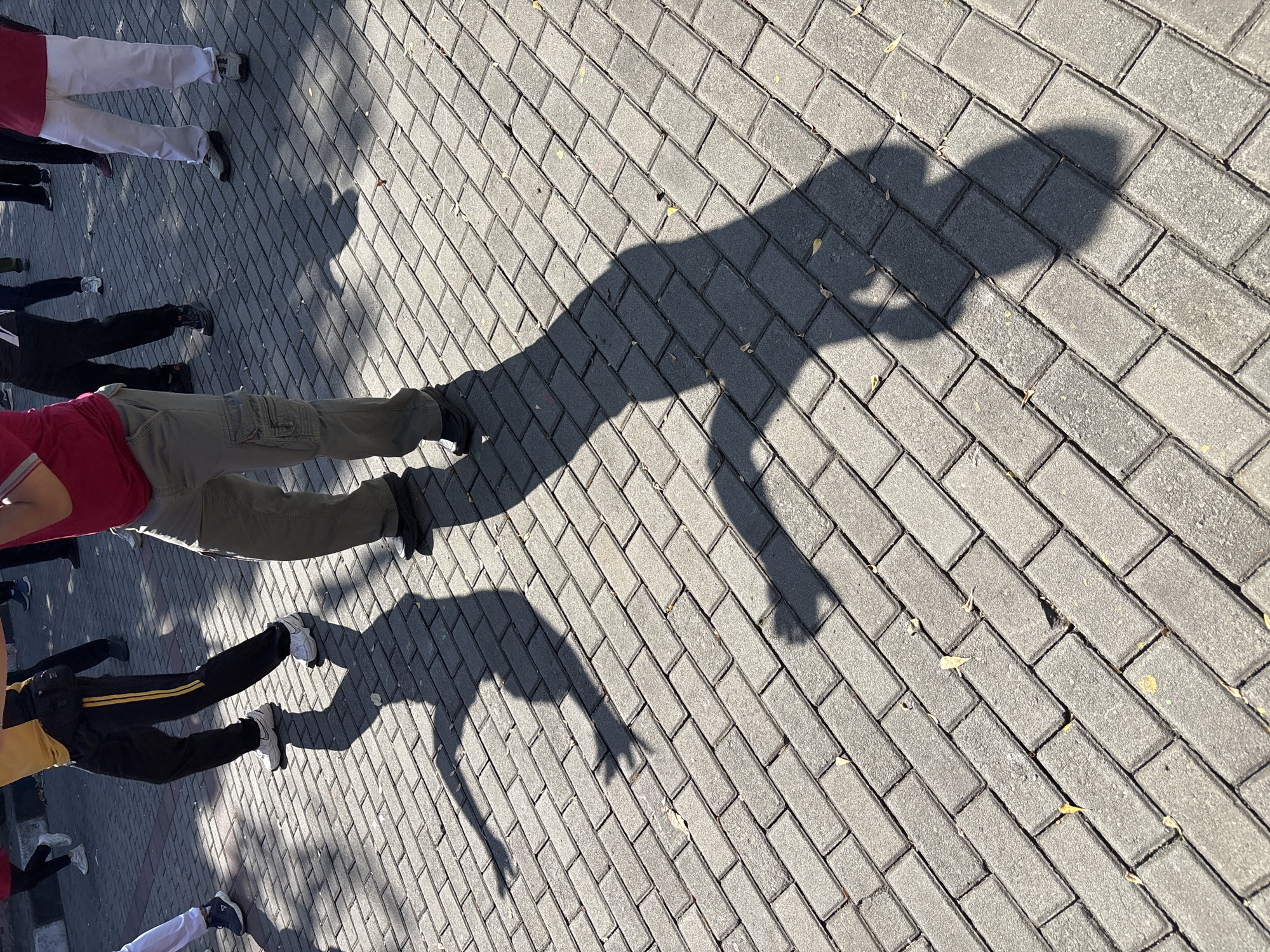 The image shows a group of people exercising outdoors on a brick-paved area in Klaten, Indonesia. The sun is casting long shadows of the individuals onto the ground. The participants are wearing casual athletic attire. One person in the foreground is wearing khaki cargo pants and a red shirt, and their shadow is clearly visible, depicting an arm extended forward. Other individuals are in the background, some wearing black pants with yellow stripes, white pants, and various colored shirts. The ground is composed of interlocking gray bricks. The overall scene suggests a morning or afternoon fitness session.
