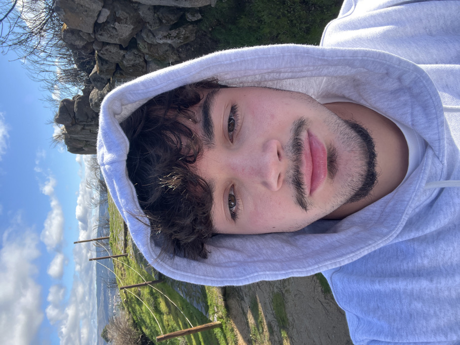 A forensic examination of the image reveals a close-up selfie of a young adult male positioned outdoors in an elevated area overlooking the city of Vila Real, Portugal. The male subject, with a light skin tone, dark brown curly hair partially visible under a light grey hooded sweatshirt, has brown eyes and a neutral expression, looking directly at the camera. He exhibits dark facial hair, including a mustache connected to a narrow goatee.
The background on the left side features a downward-sloping hillside with patches of green grass and dry vegetation. A narrow dirt path is visible, bordered by a rudimentary railing composed of three weathered wooden posts connected by two strands of light-colored rope. In the distant background, a cityscape, identifiable as Vila Real, spreads across a valley under a hazy horizon. On the right side of the subject, a rough, irregular stone wall or natural rock formation is present, composed of large, unmortared stones. Sparse, dry brush extends above this rock structure. The sky above is clear blue with scattered white cumulus clouds, indicating a bright, sunny day. The overall lighting suggests natural sunlight from an overhead source.