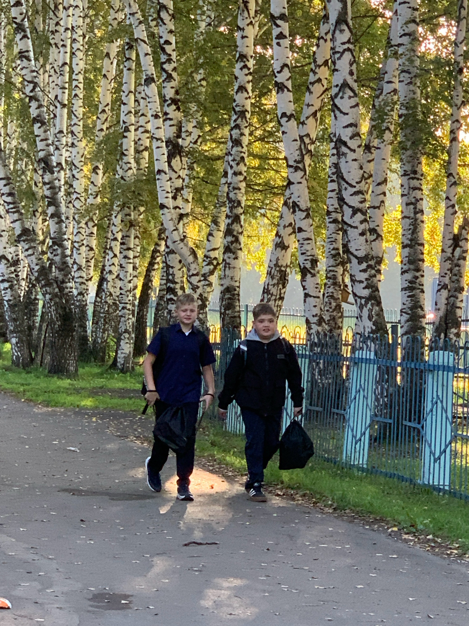 Two young males, appearing to be students, walk along a paved pathway lined with birch trees. The trees have characteristic white bark with black markings. A blue metal fence with diamond-shaped openings runs parallel to the pathway and trees. The male on the left wears a dark blue short-sleeved shirt, black pants, and dark sneakers, carrying a black bag in his left hand. The male on the right wears a dark jacket with a gray hood, dark pants, and dark sneakers, also carrying a black bag in his right hand. The ground is asphalt, with some fallen leaves and water puddles visible. The background shows green grass and more birch trees, with sunlight filtering through the leaves, creating dappled light. The scene appears to be a street or park setting, likely in Prokopyevsk, Russia, given the birch trees which are common in the region. The time of day seems to be late afternoon or early evening, indicated by the warm, low-angle sunlight.
