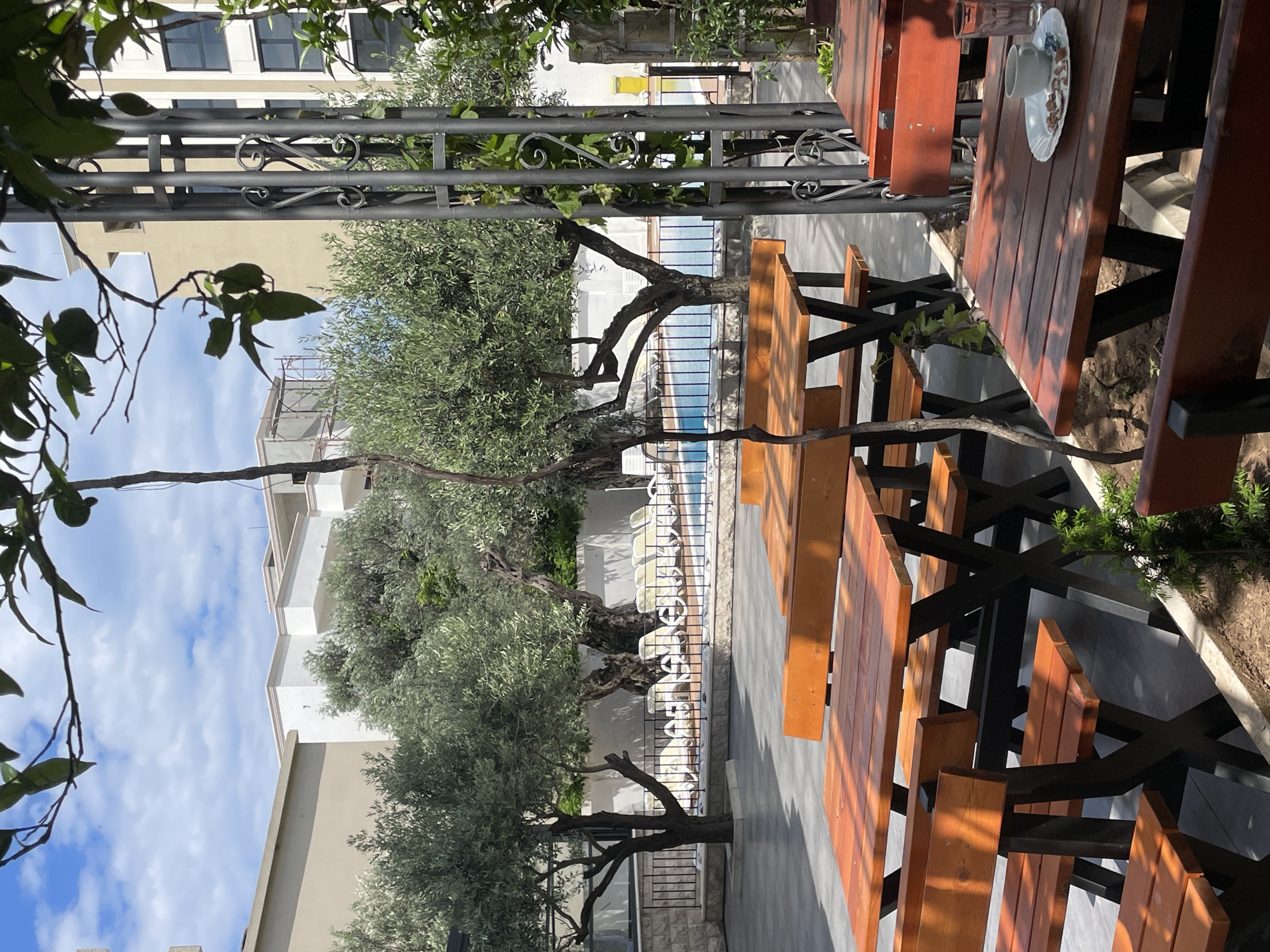 The image depicts an outdoor seating area in Bar, Montenegro, likely a restaurant or café patio. Several long wooden tables with attached benches are arranged adjacent to a swimming pool area, which contains white lounge chairs. Olive trees are integrated into the landscape, with branches extending over the seating. In the background, multi-story buildings are visible. A wrought iron pergola-like structure partially covers the seating. One of the tables holds a plate with a cup on it. The overall environment suggests a relaxed, outdoor dining experience near a pool.