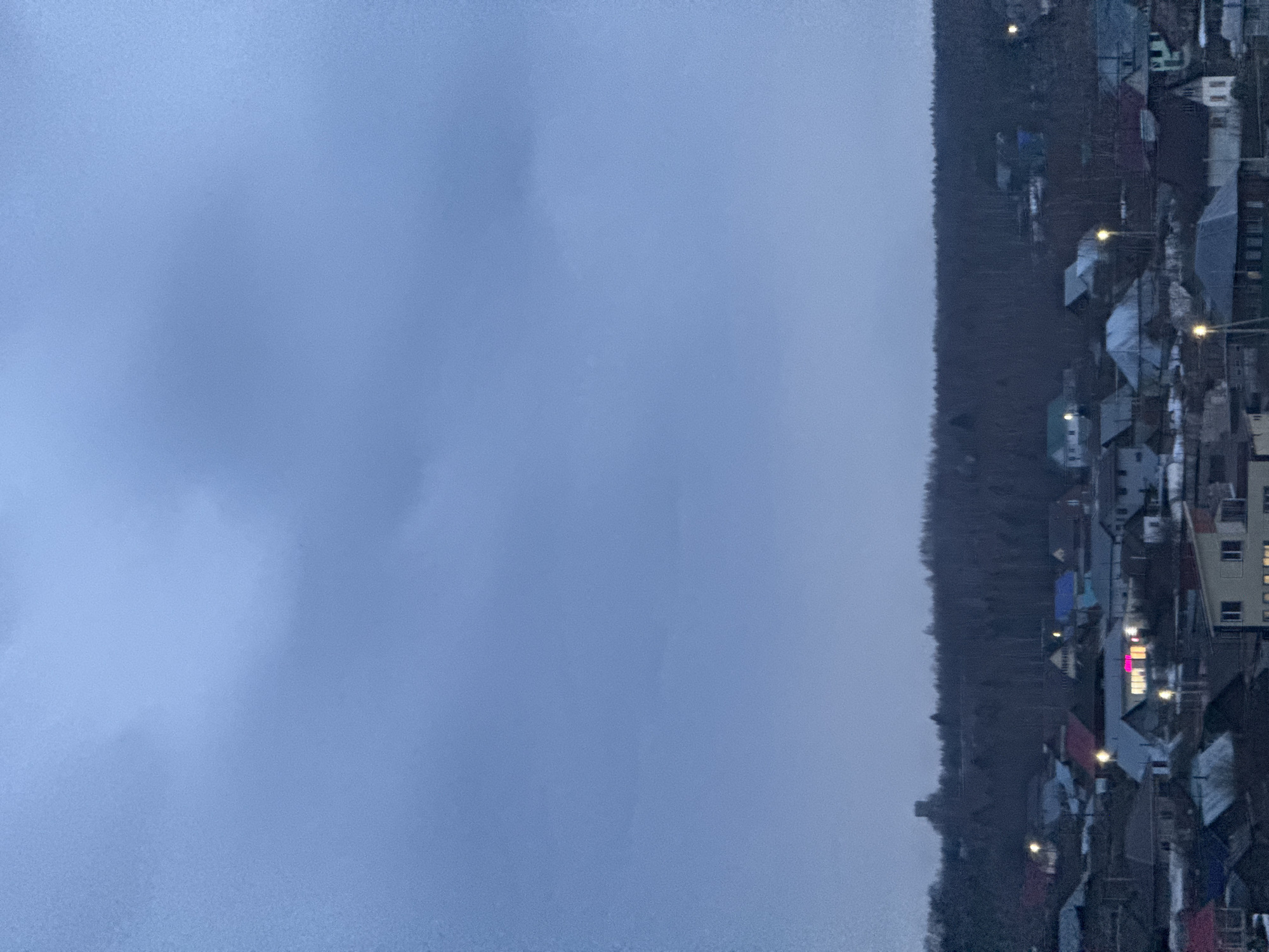 A horizontal shot depicts a densely populated area in Ольховка, Russia, during a gloomy day. The left side of the image is dominated by a gray, overcast sky. Progressing to the right, a dark forest line is visible. Adjacent to the forest, numerous closely packed residential buildings are observable, with rooftops of varying colors and shapes. Sparse streetlights punctuate the scene, giving small points of light among the buildings. The overall ambiance is dim, suggesting low-light conditions.