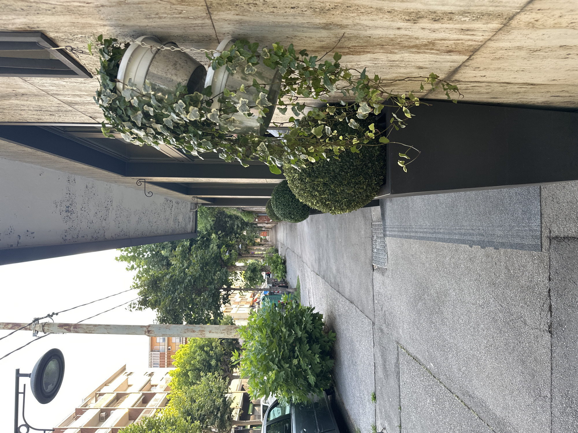 The image depicts a street scene in Trieste, Italy, characterized by an urban sidewalk with a concrete pavement. The sidewalk runs alongside a building with a textured, light-colored stone facade and a dark-framed window. Hanging from the building's wall are two white planters with ivy, one above the other. In front of the building, in large black planters, are two spherical topiaries.
The street is lined with trees and utility poles. A street lamp is visible on a pole in the foreground. In the background, buildings with balconies and windows are visible, suggesting a residential or commercial area. There are also some trash bins and a parked car on the left side of the sidewalk. The lighting suggests it is daytime, likely late afternoon due to the long shadows cast by the trees and buildings. The overall scene is one of a well-maintained urban environment with decorative landscaping elements.