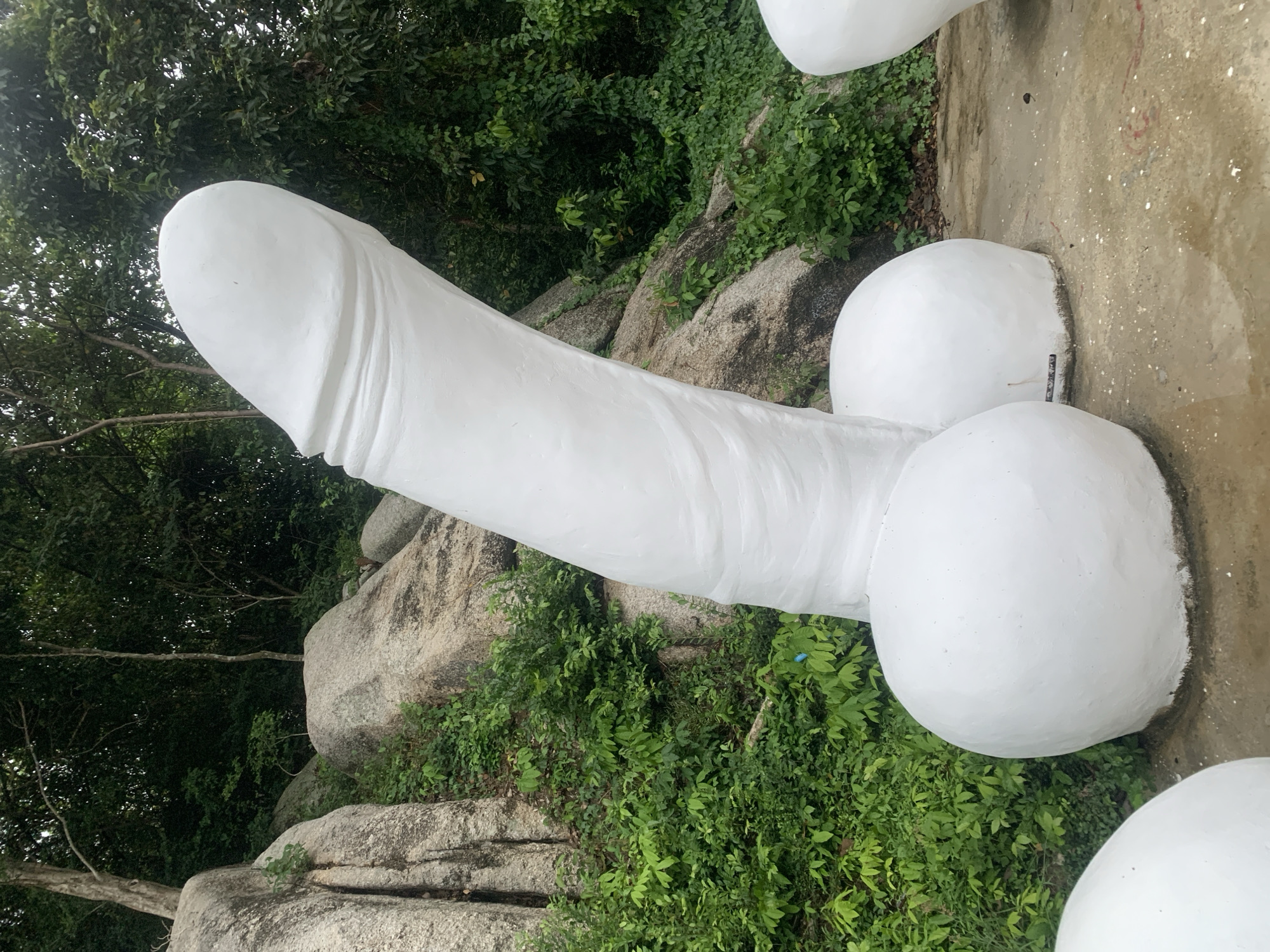 The media file presents a large, white, phallic-shaped sculpture situated outdoors in Baan Hua Thanon, Thailand. The dominant object is a meticulously crafted statue resembling a human penis, featuring a distinct glans and two spherical forms at its base, representing testicles.
The sculpture is set within a natural, verdant environment. Dense green foliage, including trees and bushes, forms a lush backdrop and surrounds parts of the statue's base. Large, weathered gray rocks are scattered throughout the greenery, contributing to a rugged landscape. Towards the right side of the image, the ground appears to be a concrete or paved surface, displaying faint specks of reflective material.
The image captures a static scene, with no discernible activity or event taking place. The lighting suggests it is daytime, likely under diffused sunlight or an overcast sky, as shadows are soft rather than harsh. The healthy, vibrant greenery indicates a thriving outdoor setting. This type of sculpture, particularly in Baan Hua Thanon, is strongly indicative of attractions such as Hin Ta Hin Yai, known for its natural rock formations and cultural interpretations related to fertility. A small, dark, rectangular tag or plaque is visible near the base of one of the spherical elements, but any text on it is too indistinct to be read.