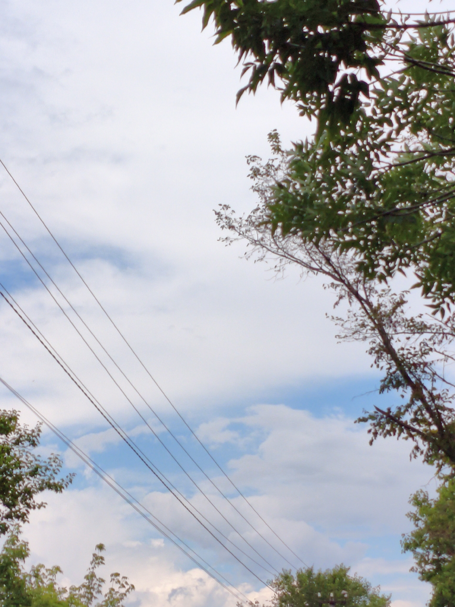 The image depicts a view of the sky with some foliage and utility wires. The sky is partly cloudy with patches of blue visible. Several dark, thin utility wires are stretched diagonally across the frame from the bottom left towards the top right. Green foliage from trees is visible in the top right, bottom left, and bottom right corners of the image, partially obscuring the sky. The lighting suggests it is daytime. There are no people or animals in the scene. The overall impression is of an outdoor view, likely from a street or residential area in Ustyvytsia, Ukraine, where utility infrastructure and trees are present.