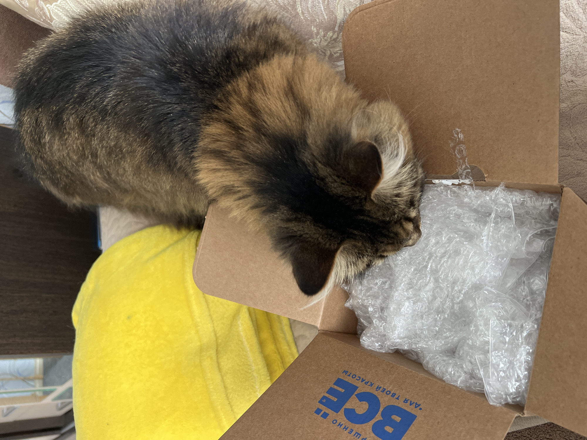 A brown tabby cat is partly inside a cardboard box filled with bubble wrap. A yellow blanket is partially visible to the left of the box. The box has Russian text on it, indicating it may have been shipped from, or is located in, Chaikovsky, Russia.