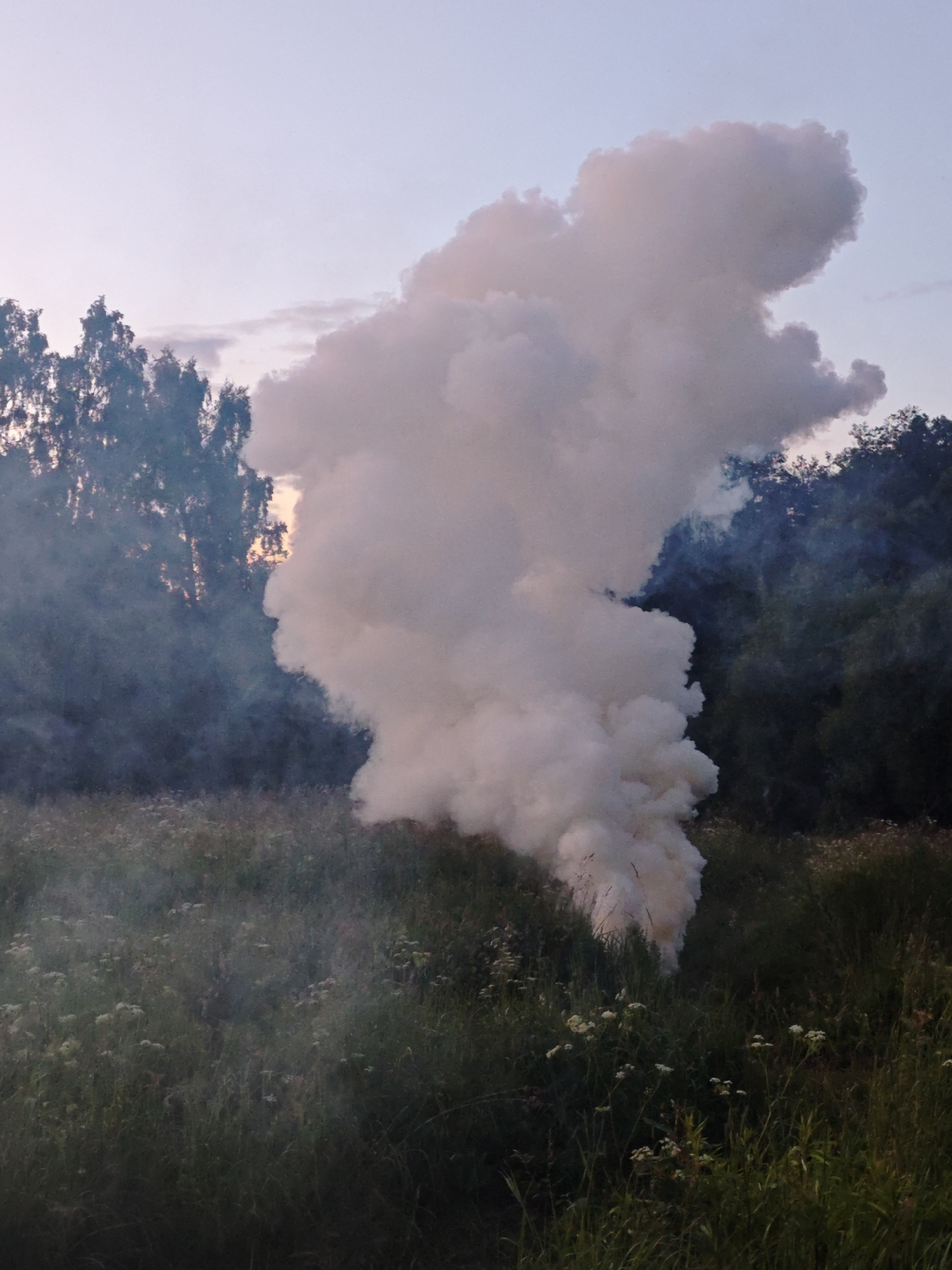 A dense plume of white smoke billows upwards from a grassy field, partially obscuring a dark line of trees in the background. The sky above is a pale, dusky blue, transitioning to hints of pink and purple near the horizon. Scattered white flowers dot the foreground, and the tall grass is a mix of green and brown. The scene appears to be an outdoor natural setting, possibly on the outskirts of Хлевино, Russia, given the mention of the location. The smoke's origin is not visible, but it suggests an event such as a flare or a controlled burn. No people or animals are visible in the frame.