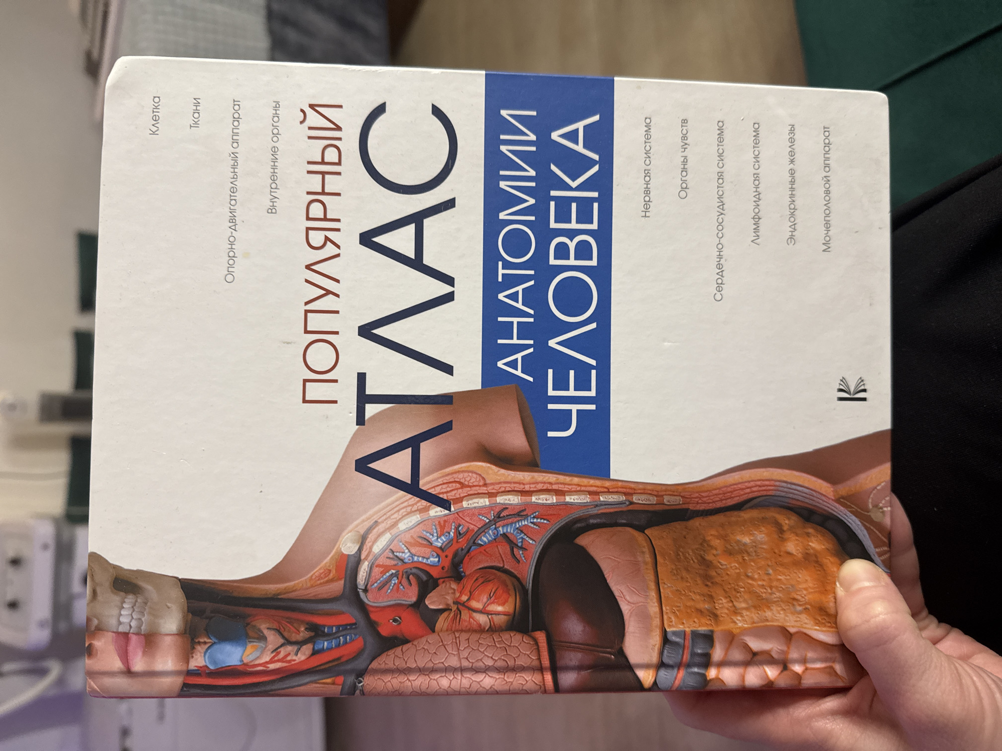 The image shows a book titled "Popular Atlas of Human Anatomy" in Russian ("Популярный атлас анатомии человека"). The book cover features an anatomical illustration depicting a cross-section of the human body, including organs and skeletal structures. Text in Russian details the book's contents, listing various anatomical systems and structures. The book is being held by a person's hand. The background is somewhat blurry but appears to be an interior setting, possibly a home or office. There's no indication in the image that places it in Saint Petersburg or Russia.