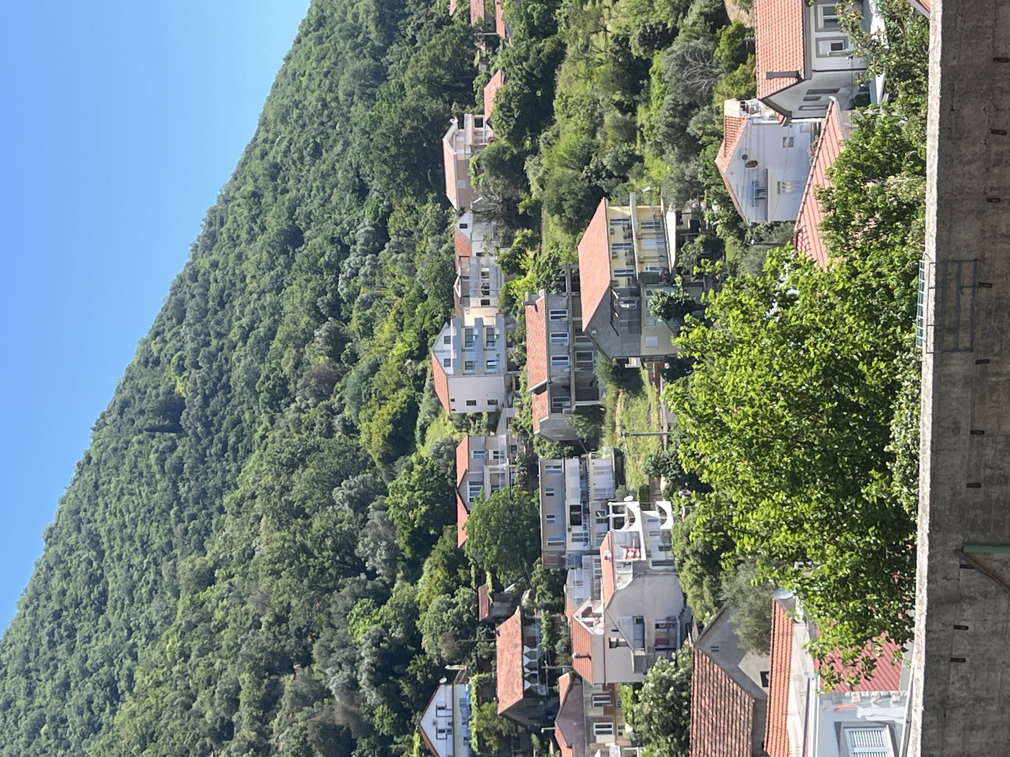 The image shows a hillside in Baošići, Montenegro. The hillside is densely covered with green trees. Houses with red tile roofs are interspersed among the trees. A concrete wall is visible on the right side of the image. The sky is clear blue.