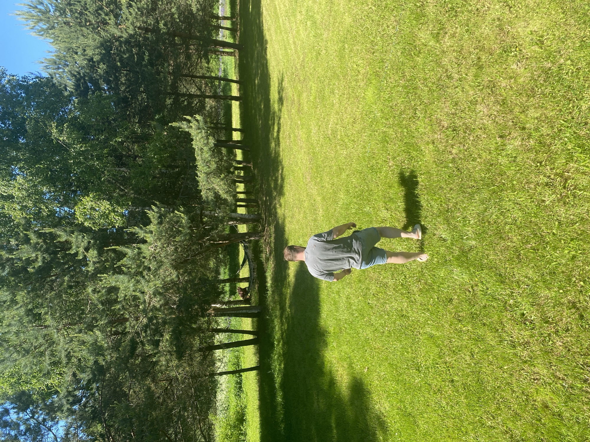 The scene, set in Копнино, Russia, depicts an outdoor environment on a sunny day. A male subject, viewed from behind, walks across a vast expanse of bright green grass towards a line of varied trees in the background. He wears a grey t-shirt, light blue denim shorts, and light-colored flip-flops. His body is oriented with his back to the viewer, and his left leg is mid-stride. Shadows from trees and the subject are cast upon the grass, indicating strong sunlight from the upper right.
The background features a dense line of trees, including several coniferous pine trees with dark green needles and multiple deciduous birch trees with lighter, often white, bark. Between two tree trunks on the left side of the background, a light-colored hammock is suspended, containing an indistinct figure or object, likely a person resting, largely obscured by shadow. Beyond the tree line, a lighter green field or clearing is visible, with subtle hints of purple vegetation, possibly flowers, further in the distance on the right side. The sky in the upper corners is clear and blue.