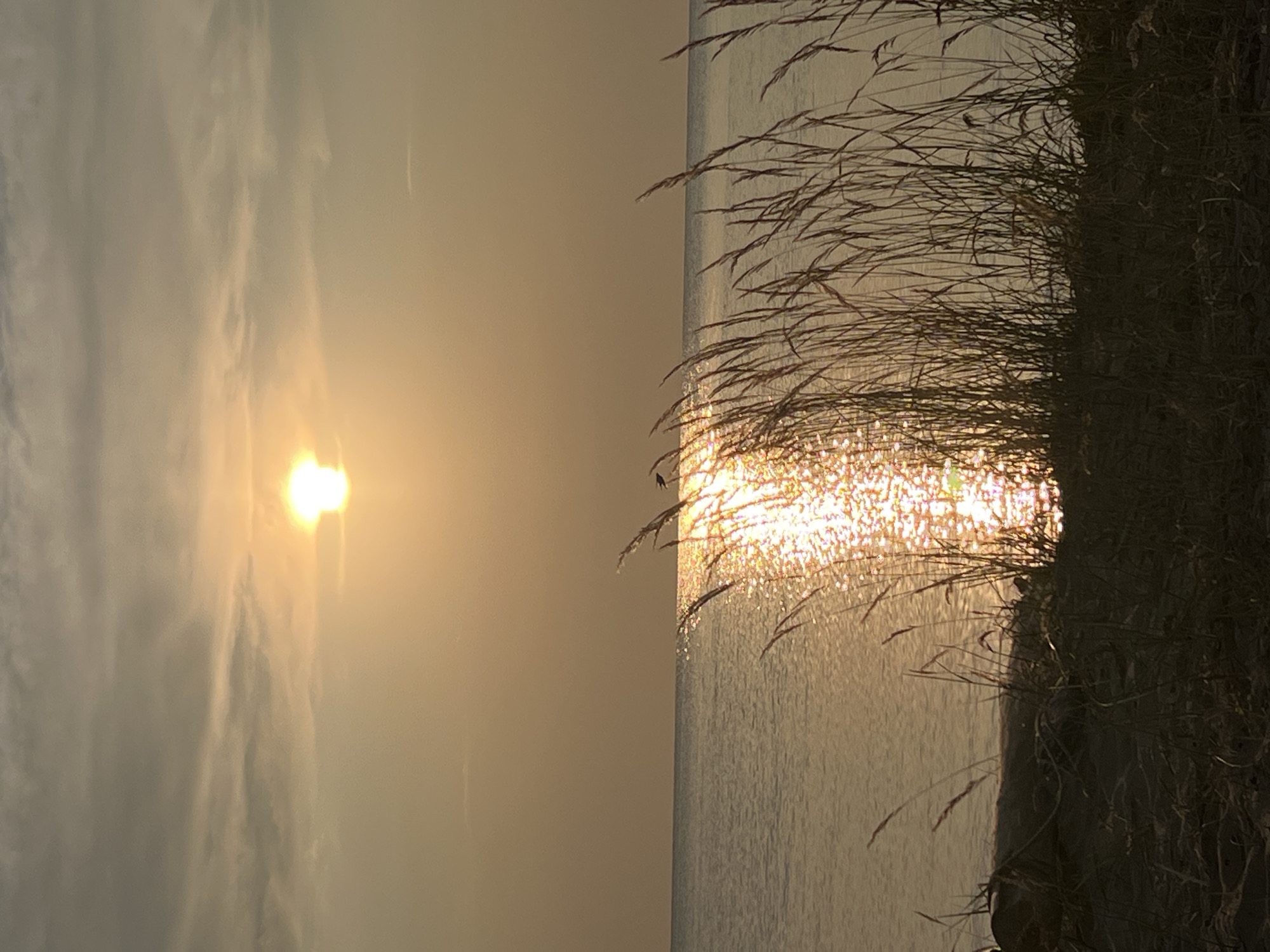 This is a vertical, slightly hazy photograph capturing a serene natural landscape at sunset or sunrise. The image is divided into two main sections by a dramatic interplay of light and shadow.
The left side of the frame is dominated by the soft glow of the sun, appearing as a bright, diffused orb. Wispy, elongated clouds streak across the sky, illuminated by the sun's warm light, creating a painterly, ethereal effect. The overall color palette on this side is muted and golden, suggesting a tranquil atmosphere.
The right side of the image presents a stark contrast. Tall, dry grasses, silhouetted against the bright water, frame the scene from the foreground and along the edge. These grasses appear to be growing on a cliff or elevated bank, casting a dark shadow onto the water. The surface of the water is a rippling expanse, catching the sunlight in a dazzling display of shimmering reflections. This highlights create a textured, almost sparkling effect on the water's surface, giving it depth and brilliance.
The scene evokes a feeling of peaceful solitude and the beauty of nature's transition periods. The light suggests either dawn or dusk, with the sun low on the horizon. The presence of tall grass hints at a wilder, perhaps coastal or lakeside, environment. While the specific location of Borovoe, Russia is provided, there are no overt visual cues within the image itself to pinpoint this exact location, other than the general impression of a natural, open space. There is no visible text in the image.