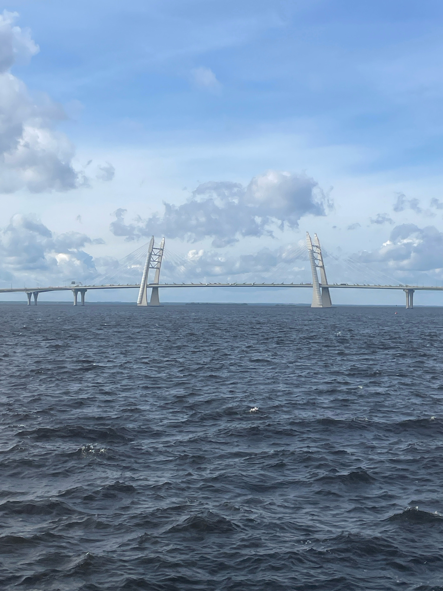 The image shows a wide shot of a large cable-stayed bridge spanning a body of dark, choppy water under a cloudy sky. The bridge is the Western High-Speed Diameter (WHSD), a toll road in Saint Petersburg, Russia. The WHSD connects the southern and northern parts of the city, crossing the Neva Bay of the Gulf of Finland. The main span of the bridge is visible, with its distinctive twin pylons leaning outwards. Cars are visible driving on the bridge. The water is a deep blue-grey and shows significant wave action. A few white birds are seen flying or resting on the water in the foreground. The sky is a pale blue with large, scattered white and grey clouds. The overall scene is one of infrastructure and nature in a coastal urban environment.