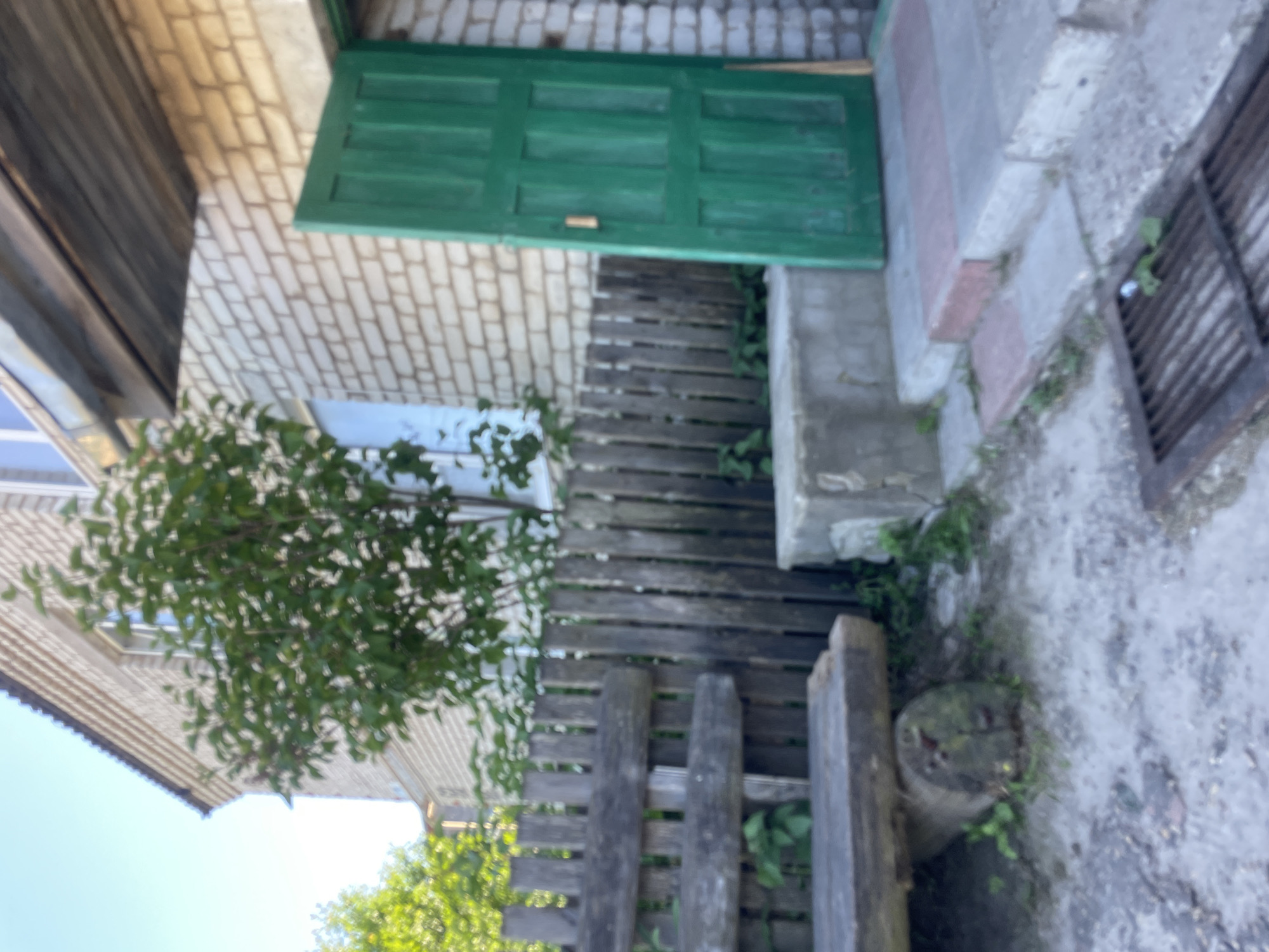 The image depicts an outdoor scene with a focus on the exterior of a building and its surroundings. The building is constructed of light-colored brick. To the left of the building, a wooden fence is visible, with a wooden bench constructed from a log and planks situated in front of it. A green wooden door is open, leading into the building. In front of the building's entrance, there are concrete steps, some of which are covered with paving stones. A metal grate is visible in the foreground, partially obscuring the ground. Vegetation, including trees and bushes, is present in the background and around the structures. The lighting suggests it is daytime, with sunlight illuminating the scene. The overall impression is of a slightly unkempt, possibly rural or suburban setting. The location is identified as Красные Баки, Russia.