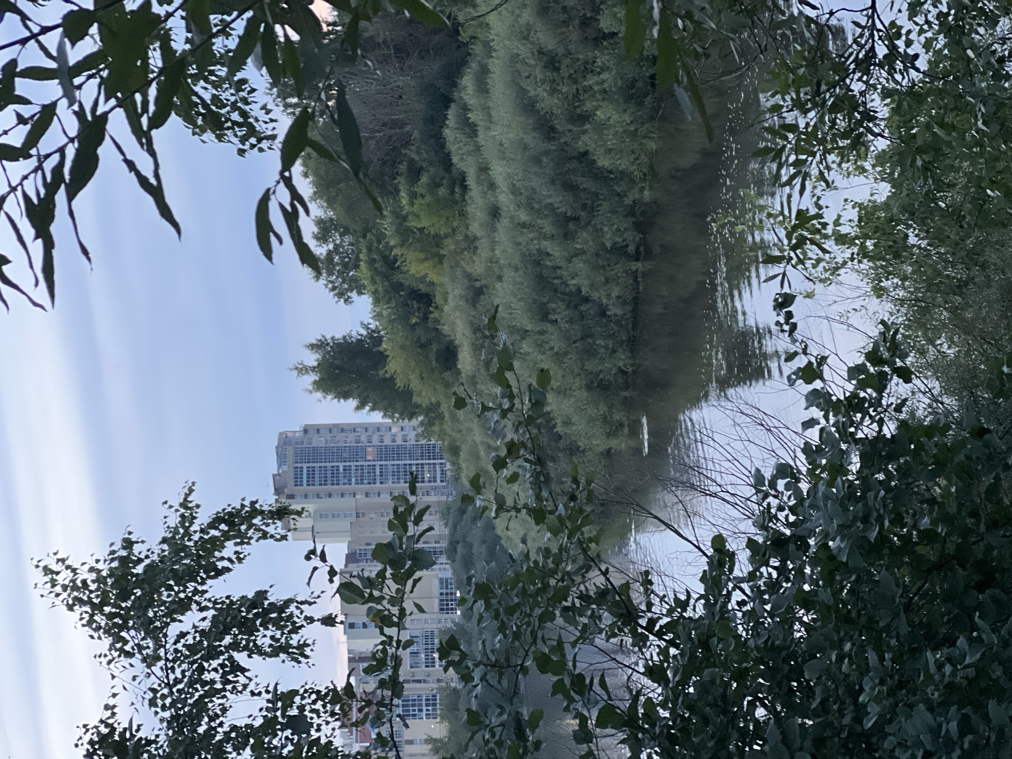 A wide shot captures a calm river flowing through a densely vegetated area. The water reflects the overcast sky. In the background, several tall, modern apartment buildings are visible, suggesting an urban setting. Lush green trees and bushes line the riverbanks, creating a natural barrier between the water and the buildings. The foreground is dominated by the dark silhouettes of tree branches and leaves, partially obscuring the view of the river and the cityscape. There are no people or animals visible in the scene.