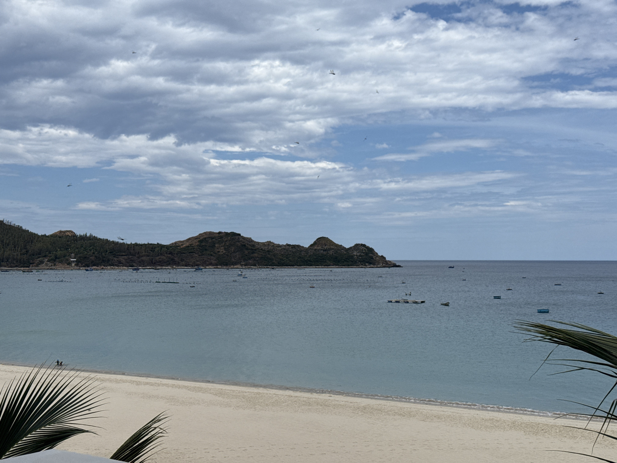 The image captures a serene coastal scene with a wide sandy beach in the foreground, meeting a tranquil, light blue ocean. In the distance, a lush, hilly coastline is visible, covered in dense green vegetation. The sky is a mix of dramatic grey clouds and patches of bright blue, with several small birds or aircraft scattered across it. The ocean is dotted with numerous small boats, some appearing to be part of a fishing or aquaculture operation, and a few larger floating structures. Two small figures are visible wading in the shallow water near the shore. Palm fronds are also visible in the foreground, adding a tropical element to the scene.