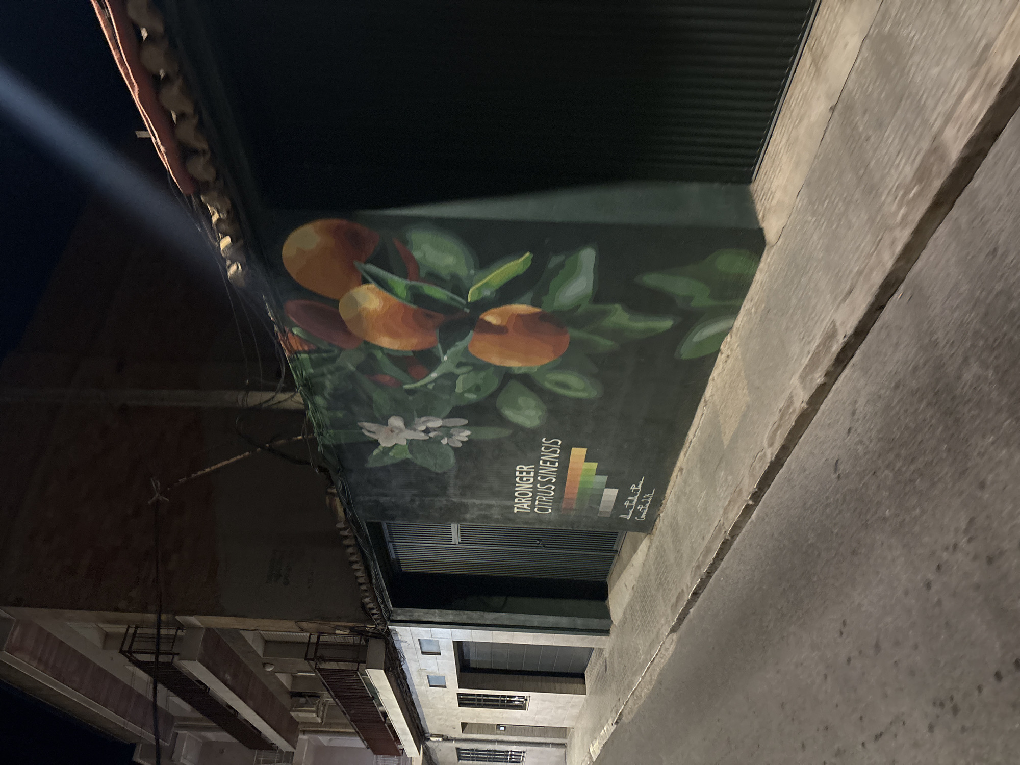 In Picassent, Spain, an outdoor nighttime scene captures a building facade adorned with a mural of oranges and leaves. The mural, painted on a dark wall, features several bright orange fruits with green leaves and delicate white flowers. Below the artwork, the words "TARONGER CITRUS SINENSIS" are inscribed, followed by a color palette gradient and what appears to be a signature. The building itself is a multi-story structure with balconies and windows visible on the left side. A street with cobblestone pavement runs alongside the building. The scene is illuminated by artificial light, casting shadows and highlighting the mural. The dark, ribbed metal doors of the building are also visible.