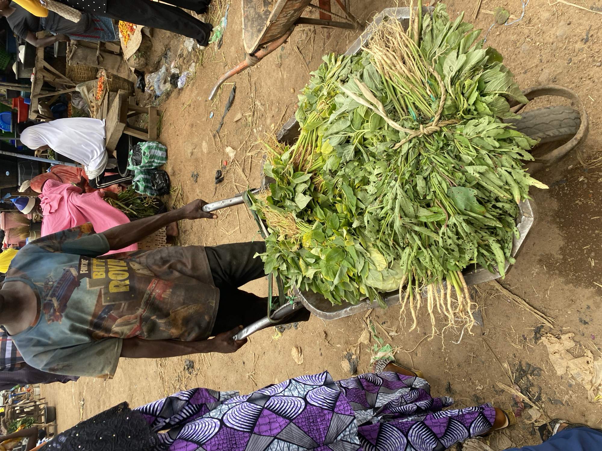 In Bukuru, Nigeria, a market scene unfolds with a focus on fresh produce. A person, wearing a t-shirt with a "Fortnite Battle Royale" graphic, pushes a wheelbarrow laden with a substantial quantity of green vegetables, their roots still attached. The vegetables are tied together with twine. Beside the wheelbarrow, another person's legs are visible, clad in a purple and white patterned fabric. In the background, other market-goers are present, some seated and draped in colorful fabrics. One individual is wearing a white hijab. The ground is dirt, indicative of an outdoor market. Other market stalls and goods are sparsely visible.