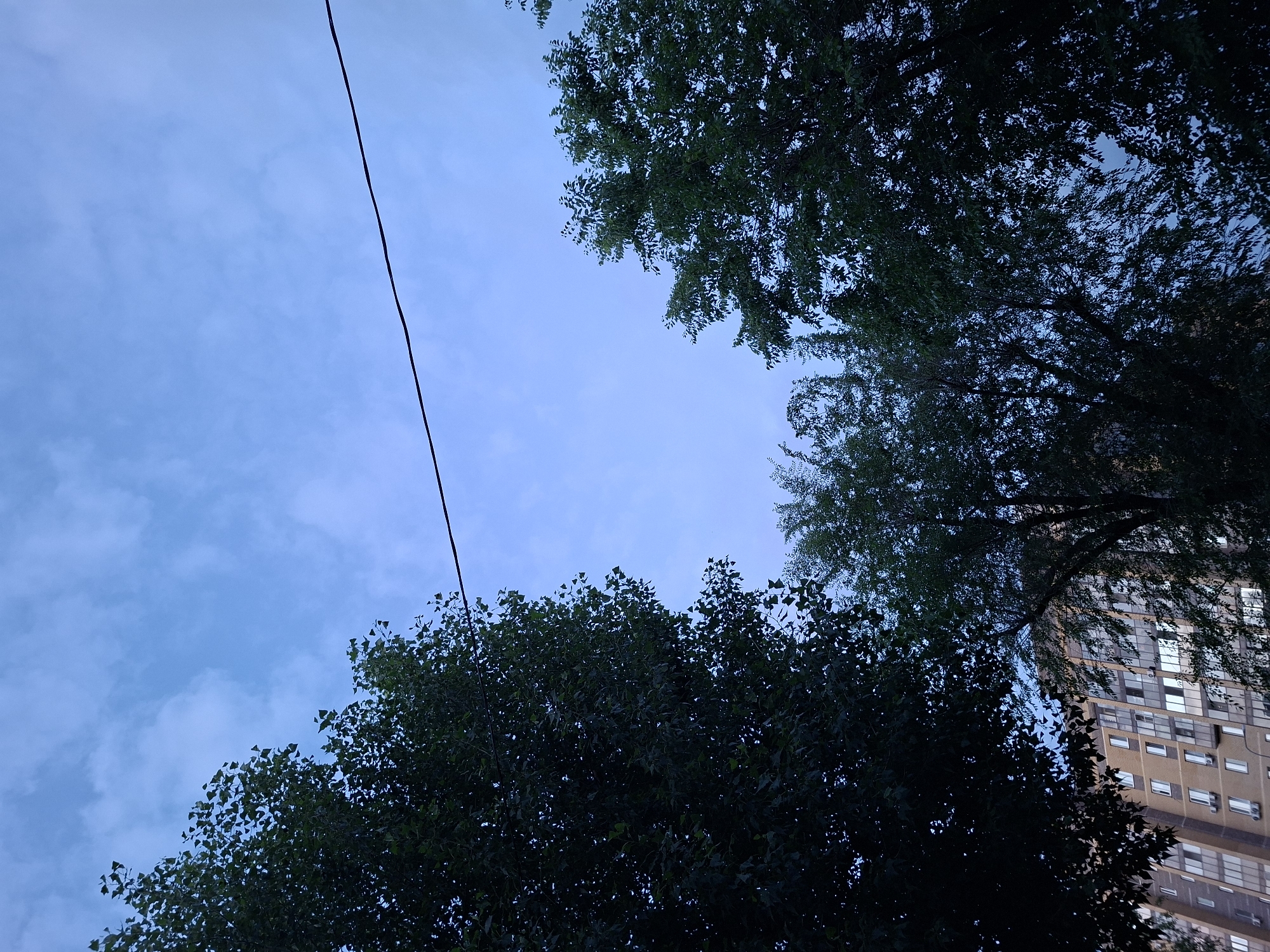 This is a low-angle outdoor shot taken at dusk, looking up at the sky through trees with a building in the background. The sky is a pale blue with wispy clouds. A dark, thin wire stretches horizontally across the upper portion of the frame. On the left and right edges, the dark silhouettes of dense trees with green leaves frame the scene. In the lower center and background, a multi-story apartment building with many windows is visible behind a cluster of trees. The building appears to be made of light-colored brick. The overall impression is one of an urban environment at the end of the day. Based on the architecture and common urban features, this scene is likely located in the city of Kazan, Russia.
