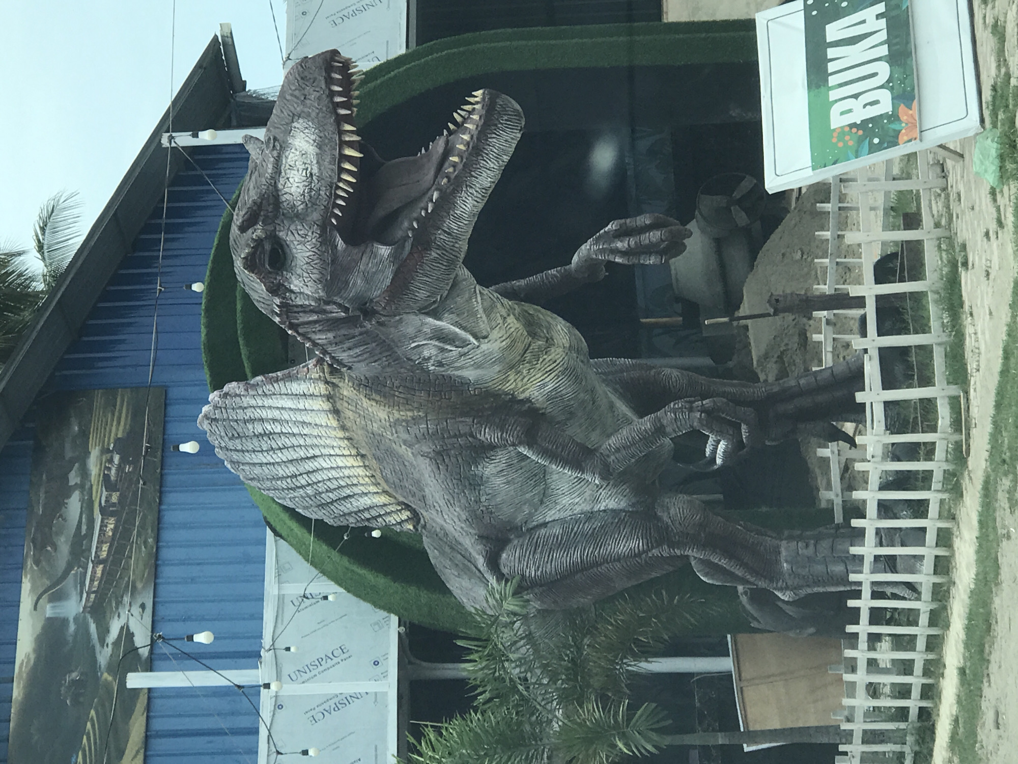 An outdoor view in Lhokseumawe, Indonesia, shows a large, gray dinosaur statue with an open mouth and visible teeth. The statue has a ridged sail-like structure on its back. It's positioned against a blue building with a poster of what appears to be a waterfall. A green, grassy arc is directly behind the statue. There is also a white sign reading "BUKA" and a white picket fence. Some foliage is visible in the foreground. The image appears to be taken during daylight hours.