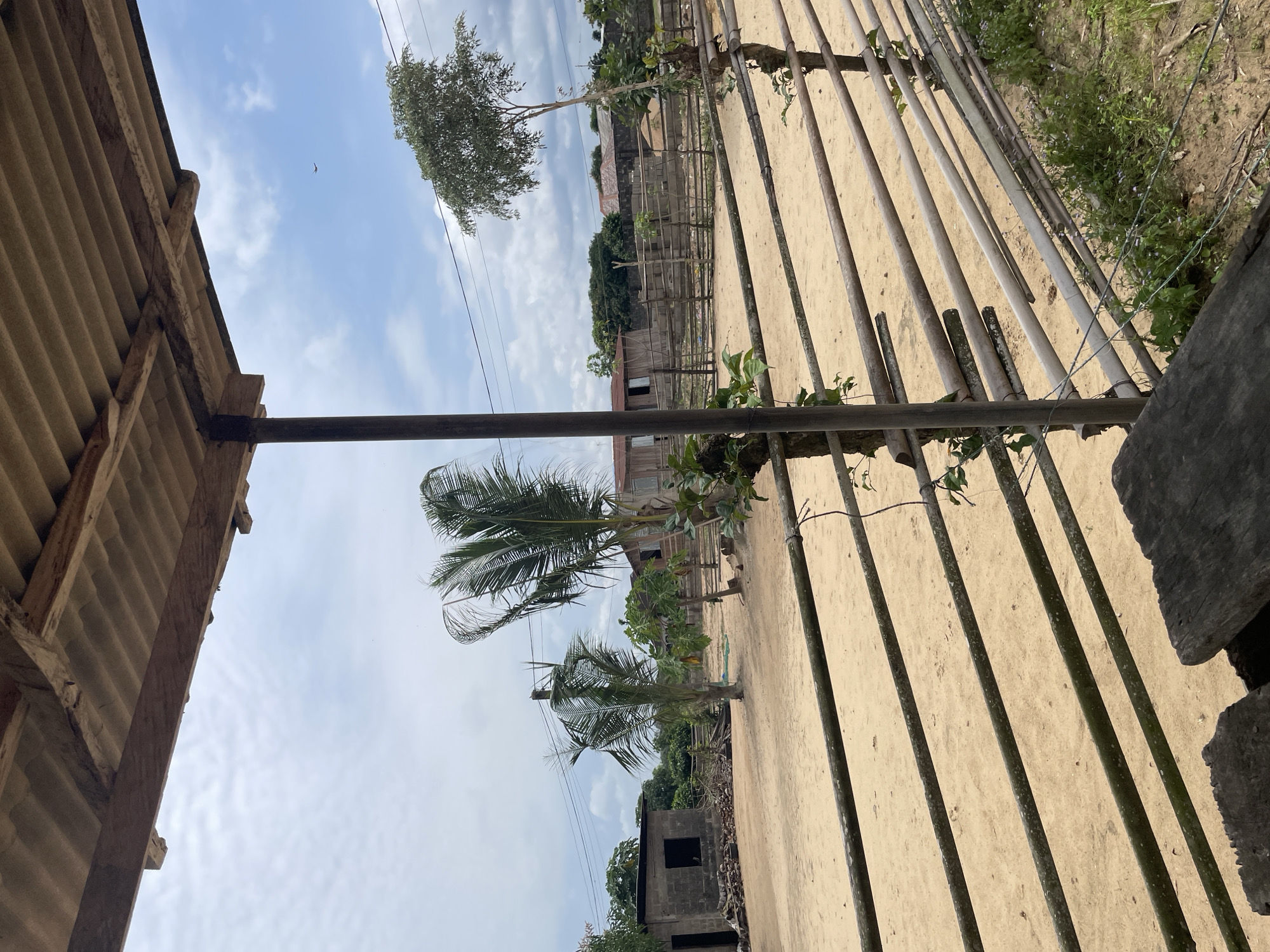 The image depicts an outdoor scene in the city of Iyafin, Nigeria. A sandy yard is visible, enclosed by a rustic wooden fence. Several structures, possibly homes or outbuildings, are situated in the background, constructed with brick and corrugated metal. Palm trees and other foliage are scattered throughout the environment. The sky is overcast with scattered clouds, and a single bird is visible in flight. The foreground features a wooden beam and a portion of a table, suggesting a covered seating area. The overall impression is one of a simple, rural setting.