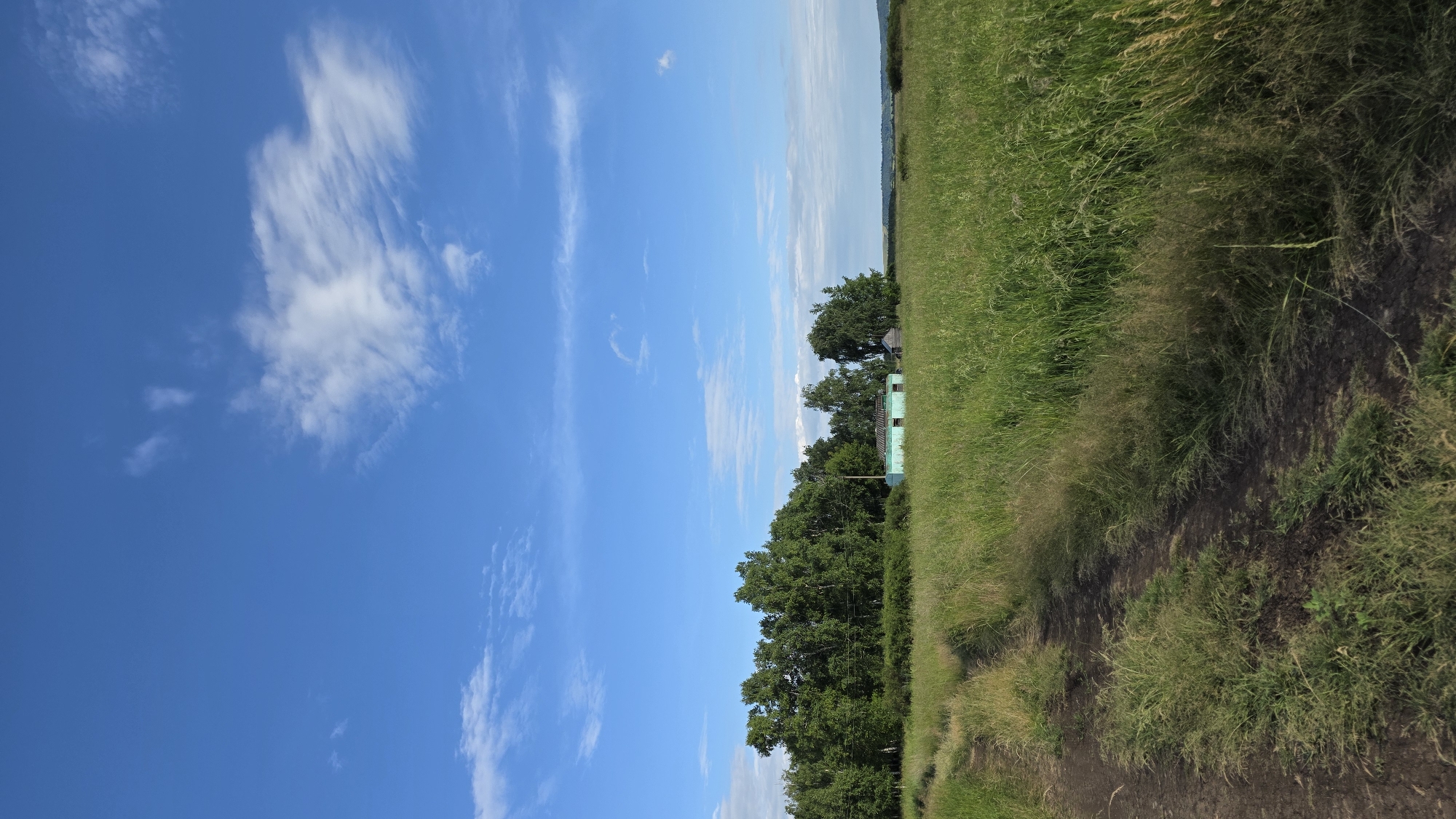 This is a landscape photograph taken in a rural area near the city of Alga, Russia. The image depicts a vast, green field filled with tall grass that extends towards a treeline in the distance. A dirt path runs diagonally from the lower left corner of the frame, weaving through the grassy field. In the middle ground, a small, light blue building with a dark roof is visible, appearing to be a simple structure, possibly a shed or small house. To the right of the blue building, a slightly darker, weathered wooden structure can be seen. The treeline behind the buildings consists of dense green foliage, primarily birch trees, characteristic of the Russian landscape. The sky above is a vibrant blue, dotted with scattered, wispy white clouds, suggesting a clear and pleasant day. The overall scene conveys a sense of rural tranquility and natural beauty.