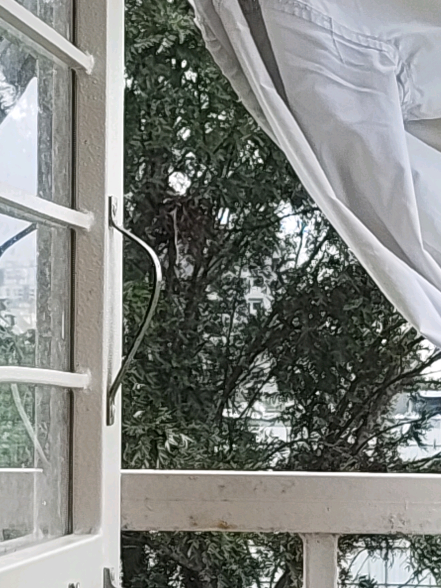 The image shows an open white window frame with a metal handle. Through the window, a dense canopy of green trees is visible, with hints of buildings in the background. A white curtain is partially drawn, obscuring some of the view. The scene appears to be outdoors, with natural light illuminating the area. The location is described as Tathawade, India, which is a suburb in Pune, Maharashtra. The window overlooks a leafy environment, suggesting a residential or possibly a commercial area with green spaces.