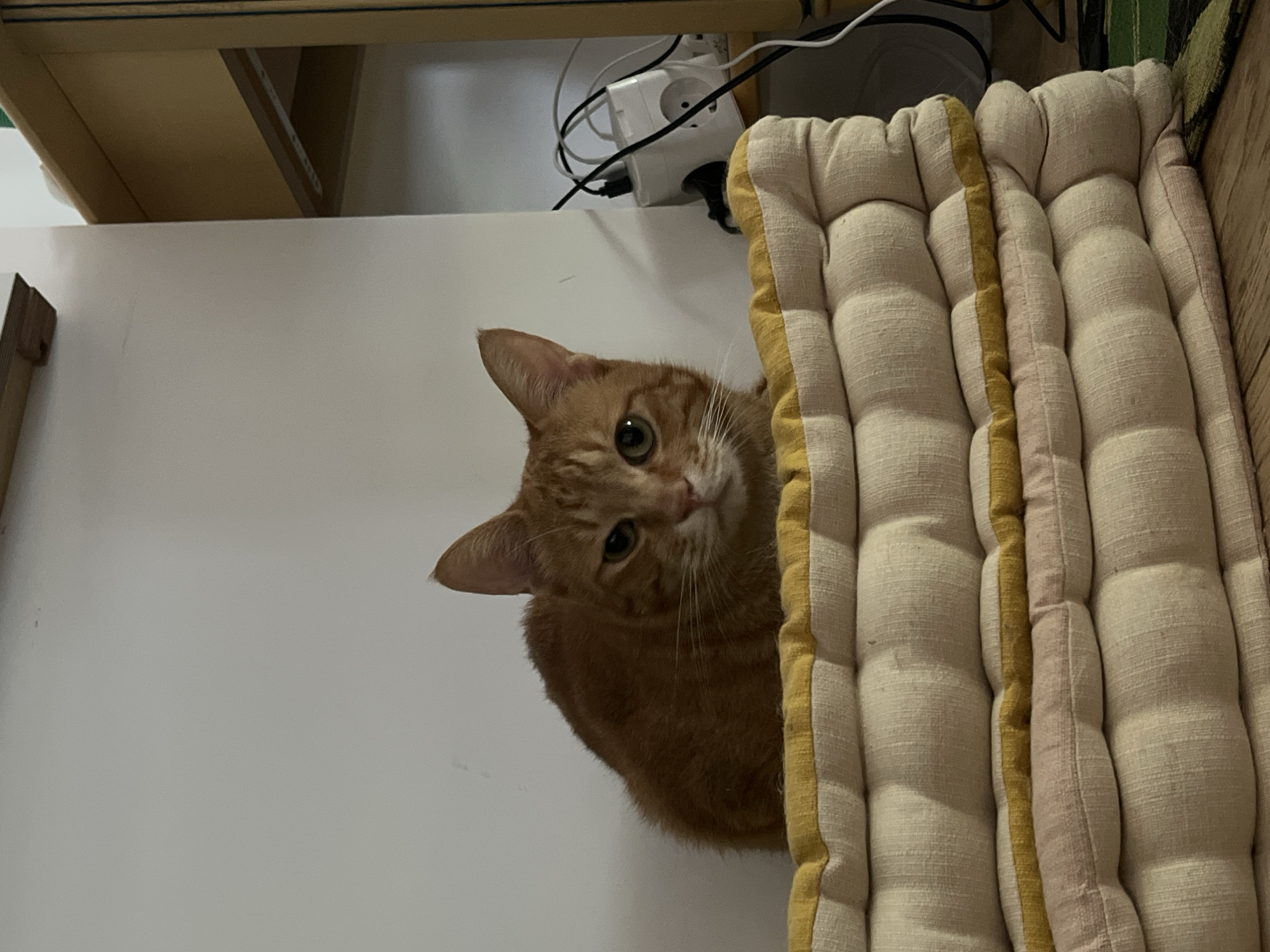 An orange tabby cat is lying on a stacked pile of floor cushions in an indoor setting. The cat is facing the camera with its body turned slightly to the left. The cushions are light-colored with yellow and pink accents. In the background, a white wall is visible, along with a portion of a light-colored wooden cabinet. Electrical cords and a white power strip with multiple outlets are also present in the background, near the cabinet. The scene appears to be a domestic environment. The image does not provide any information about the city of Villejuif, France.