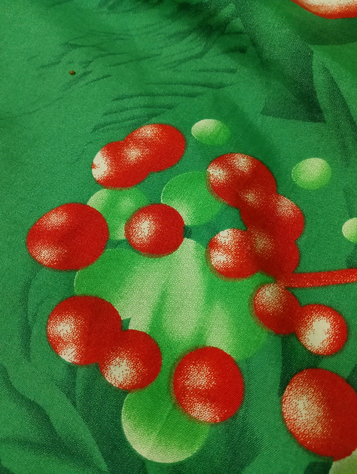 The image shows a close-up, overhead view of a green fabric with a pattern of red berries and green leaves. The fabric appears to be slightly wrinkled, creating shadows and highlights that give it a textured appearance. The red berries are round and clustered, with some appearing to be connected. They have a glossy finish and are depicted with white highlights. The green leaves are abstract shapes, blending into the background fabric. There is also a small, dark speck on the fabric in the upper left portion of the image. The image is a still life and does not depict any people, actions, or interactions. There is no discernible location in the city of Rembang, Indonesia, as the image focuses solely on the fabric.