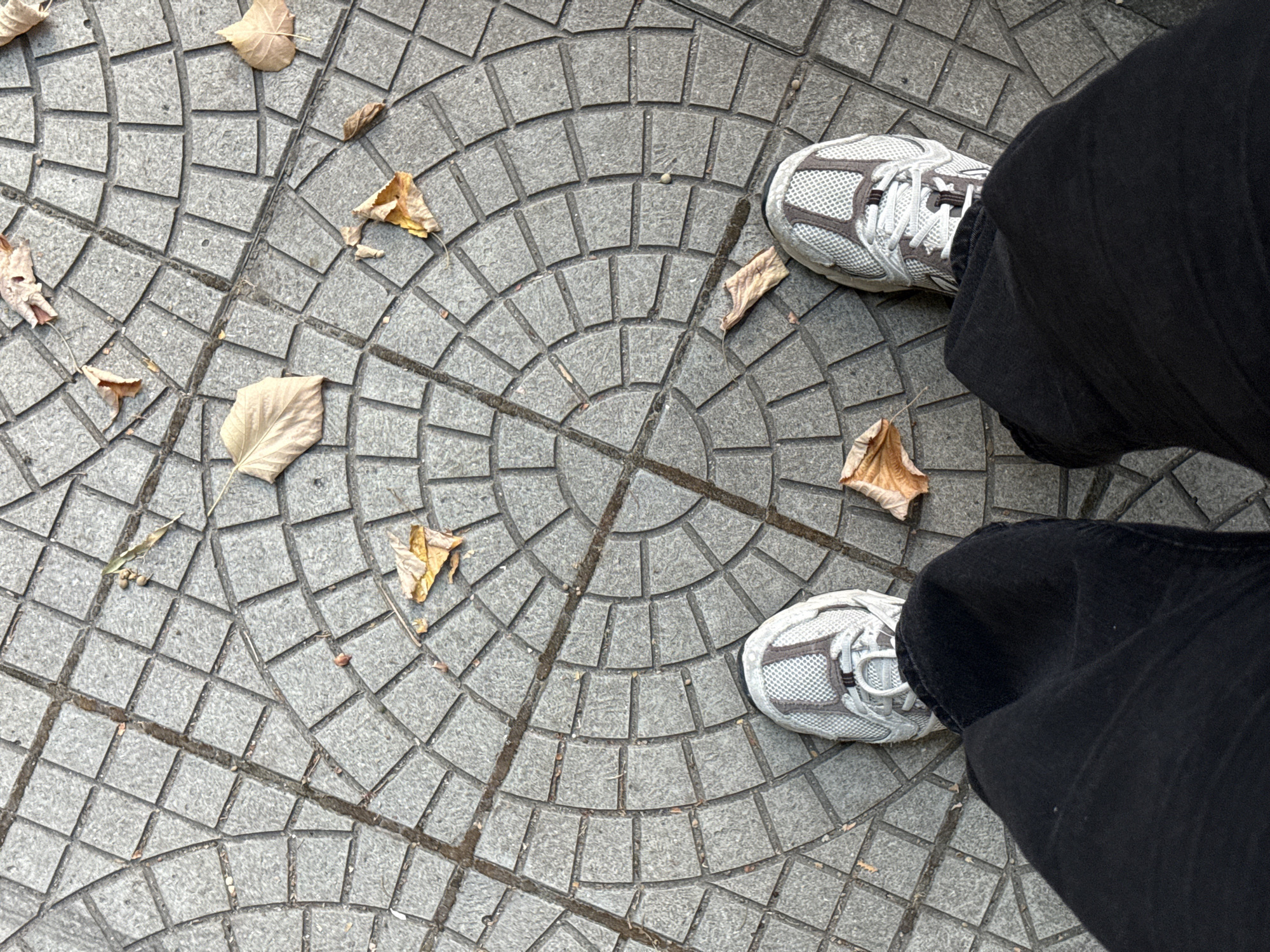 The image shows a top-down view of a person's legs and feet standing on a circular patterned cobblestone sidewalk. The cobblestones are gray and arranged in concentric circles and radial lines. Scattered on the sidewalk are several fallen dry leaves, indicating an autumn setting. The person is wearing black pants and light-colored athletic shoes with gray accents. The scene appears to be an outdoor public space, possibly a park or a street in the city of Strelcha, Bulgaria, suggested by the user's prompt. There are no other people or significant actions depicted.