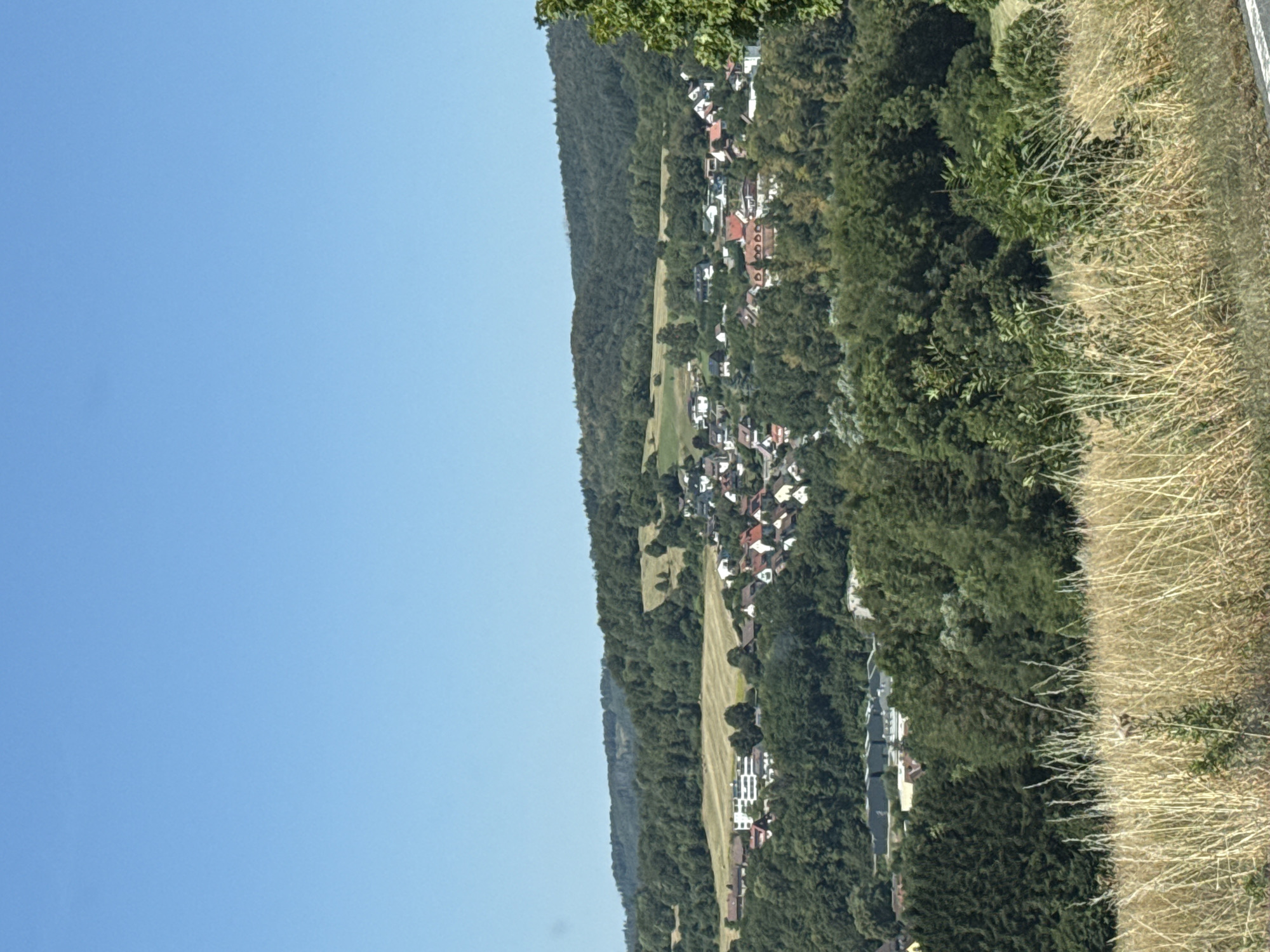 The image depicts a panoramic view of a rural area in the vicinity of Bad Lauterberg im Harz, Germany. The scene is dominated by rolling hills covered in lush green forests and a clear blue sky. In the mid-ground, a small village with red-tiled roofs and white-walled houses is nestled amongst the trees. Some larger modern buildings, possibly commercial or industrial, are also visible on the outskirts of the village. The foreground features a field of dry, golden-brown grass, suggesting a summer or early autumn setting. The overall impression is one of a serene, picturesque landscape typical of the German countryside.