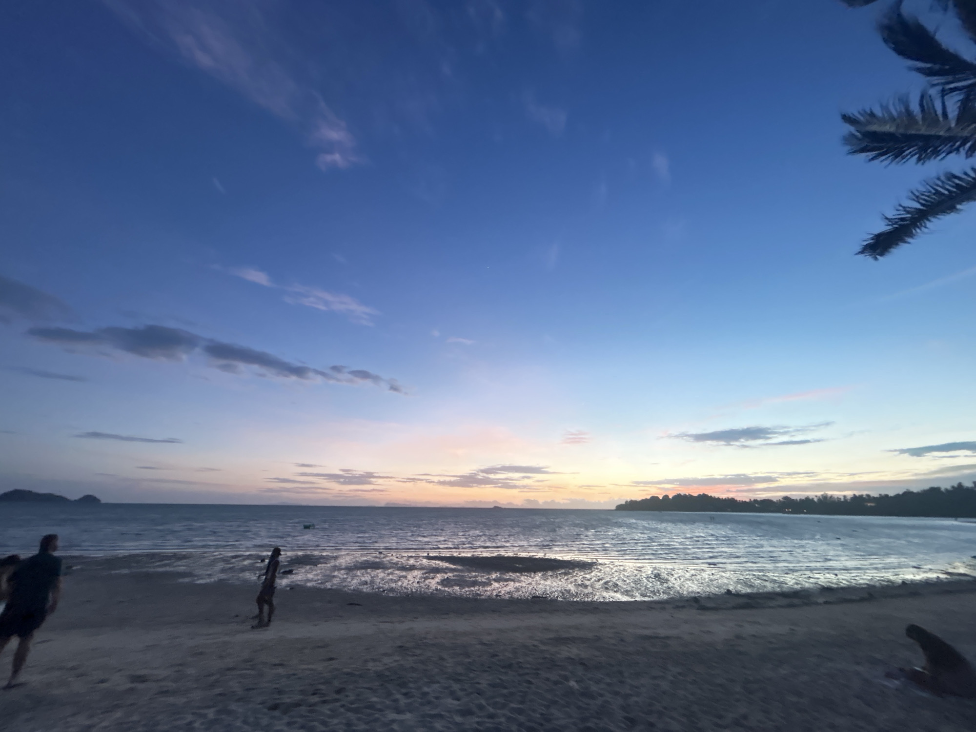 The image depicts a serene beach scene at dusk in Ko Pha-ngan District, Thailand. The sky transitions from deep blue to lighter hues of pink and orange near the horizon, with scattered clouds. The sea is calm, reflecting the fading light, and appears shallow near the shore, revealing wet sand and tidal pools. In the foreground, a sandy beach stretches across the frame. Two individuals are visible on the beach: one in the left mid-ground, silhouetted and walking away from the camera, and another in the right mid-ground, also silhouetted and appearing to stand or walk. A palm frond is visible in the upper right corner, casting a shadow on the blue sky. The overall atmosphere is tranquil and suggestive of the end of the day.