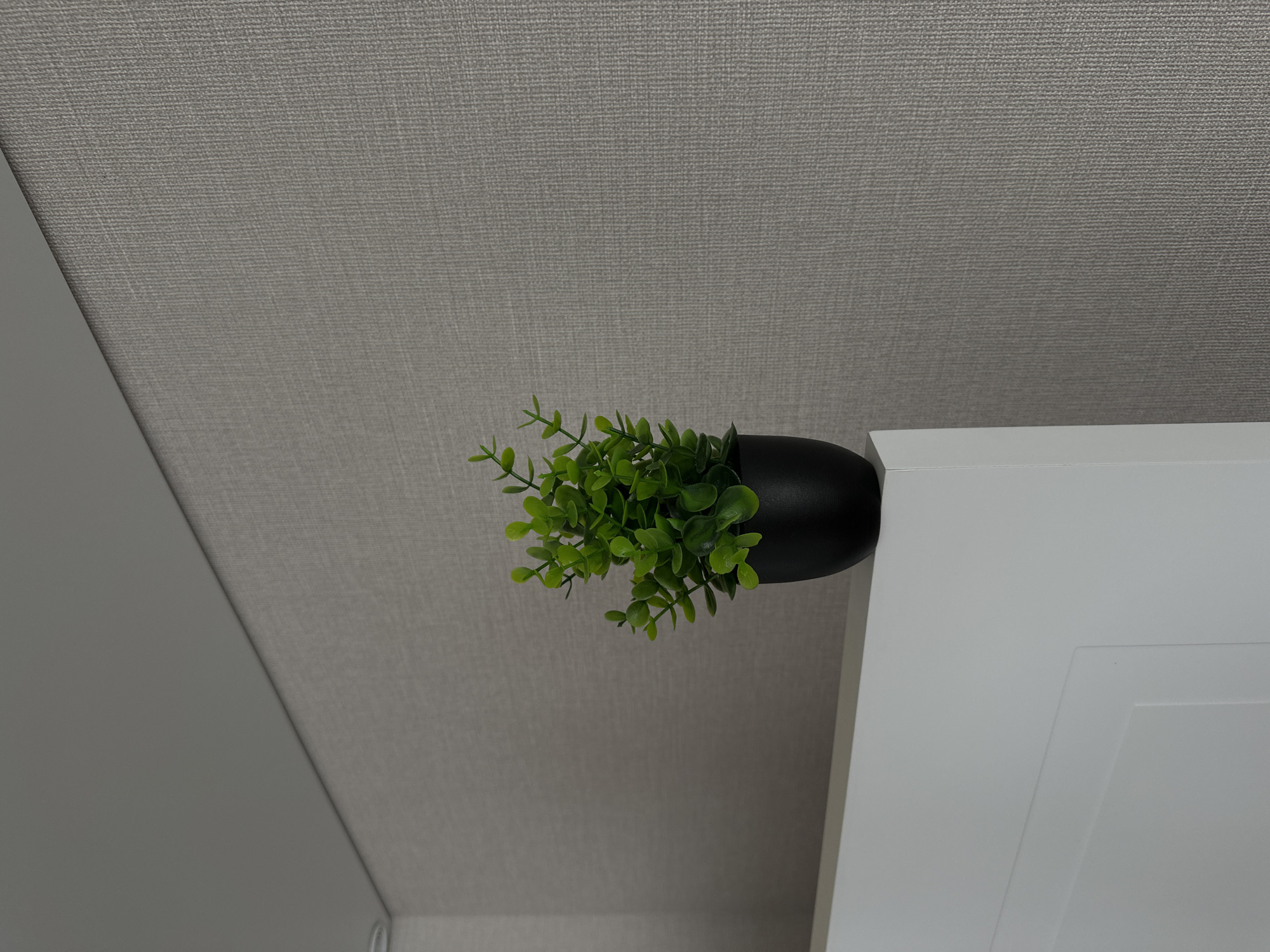 A low-angle, close-up shot depicts a small, green, artificial plant in a black, tapered vase. The vase rests on the upper right corner of a white, recessed-panel door or cabinet. The backdrop is a gray, textured wall. The lighting is even, casting minimal shadows. The location is Sepych, Russia.