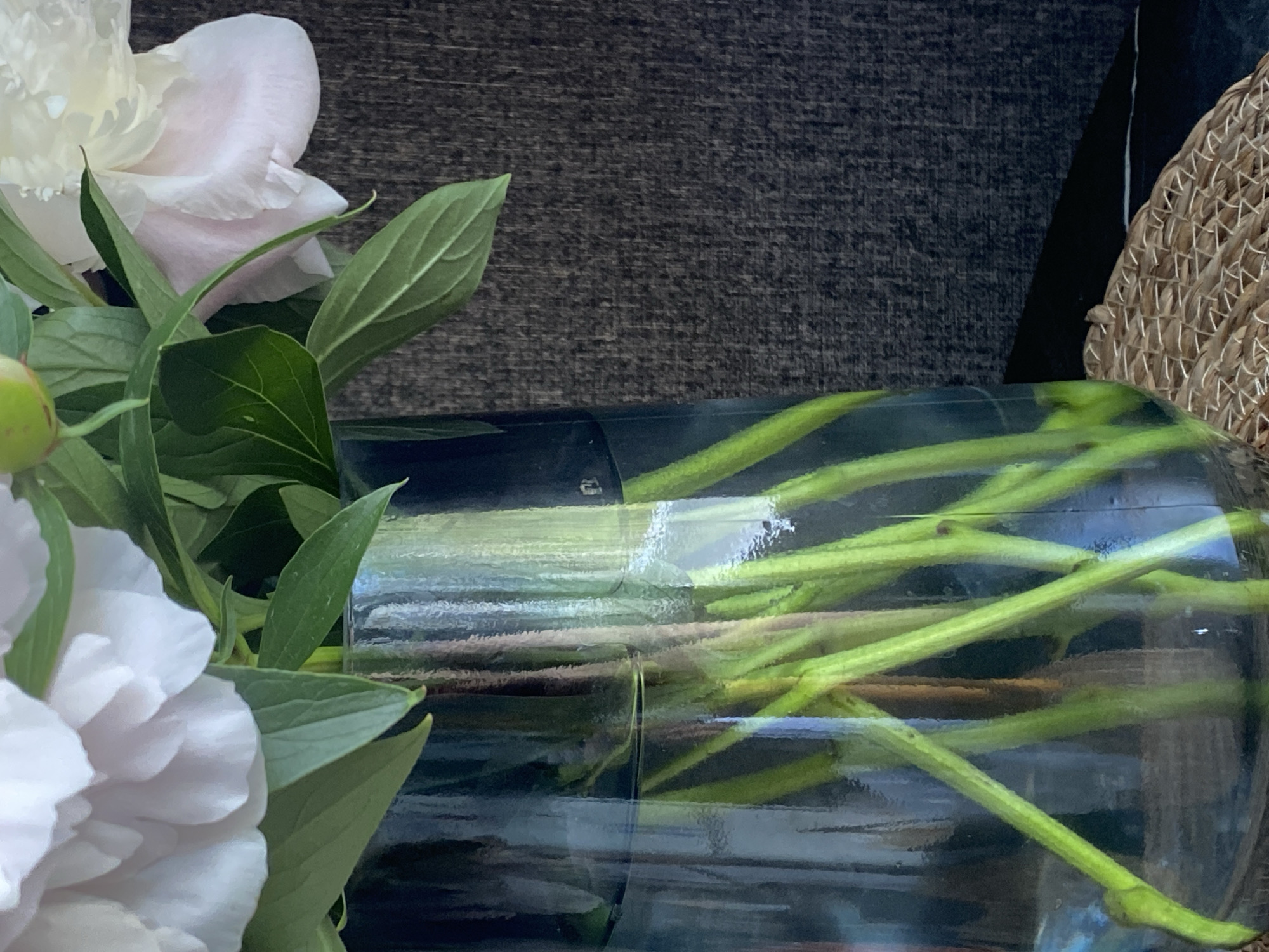 A close-up shot features a clear glass vase filled with water, containing the stems of white peonies. The vibrant green stems are visible through the water, some appearing darker and thicker, others lighter and thinner. The vase sits on a woven placemat with a crisscross pattern, likely made of straw or reeds. In the background, a dark, textured surface, possibly a fabric or wall, creates a stark contrast to the delicate flowers and stems. The lighting is soft, highlighting the transparency of the glass and the natural textures of the objects. The image appears to be captured indoors, suggesting a domestic setting, possibly in Chaikovsky, Russia, given the prompt's location hint. No people are present in the frame.