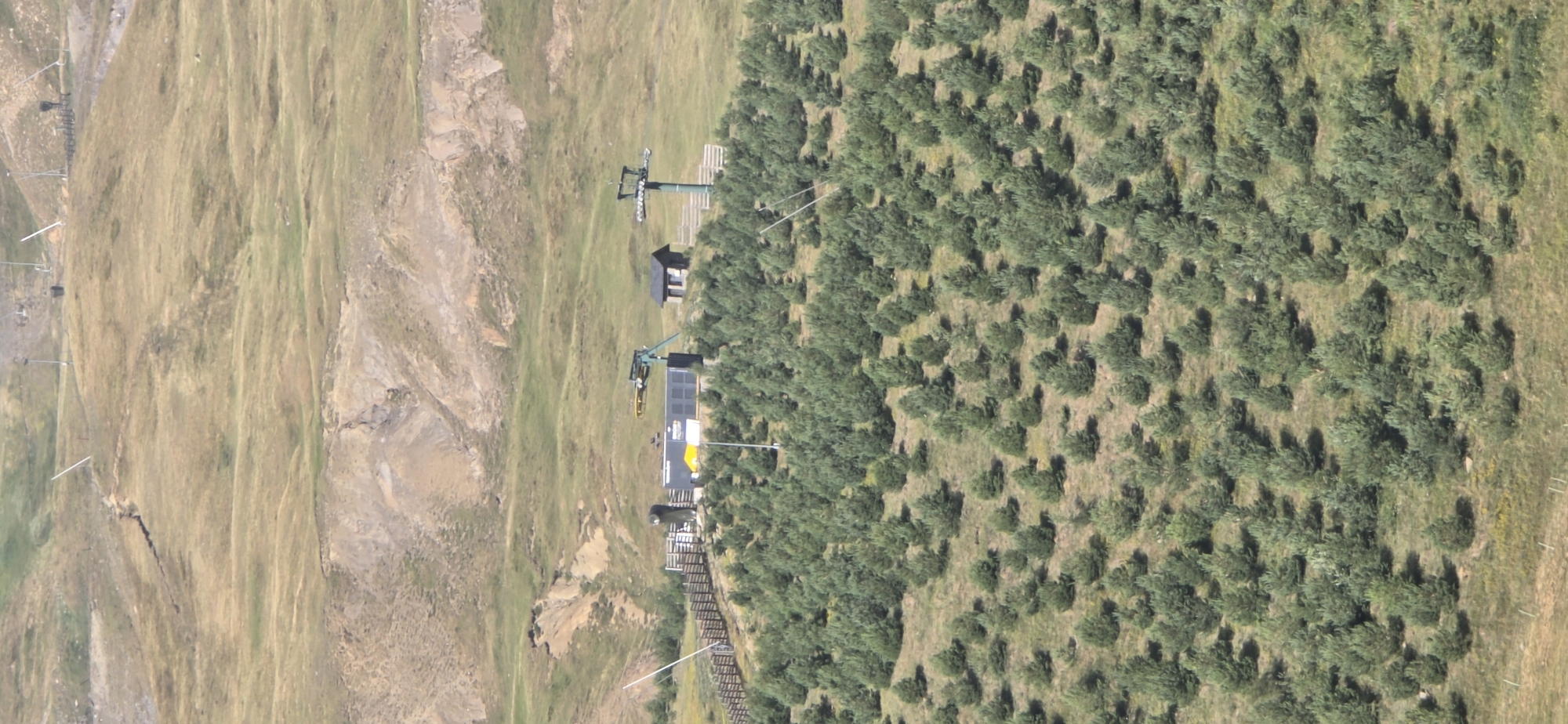 The image shows a ski resort facility at Sallent de Gállego, Spain. In the foreground, a dense forest of young evergreen trees covers a hillside. In the midground, a ski lift station is visible, consisting of a building, a loading platform, and several support structures. The surrounding landscape is characterized by rolling hills and sparse vegetation. The background depicts a barren mountain slope with evidence of erosion and landslides. The scene appears to be a summer day, as indicated by the green foliage and the absence of snow. There are no people visible in the image.